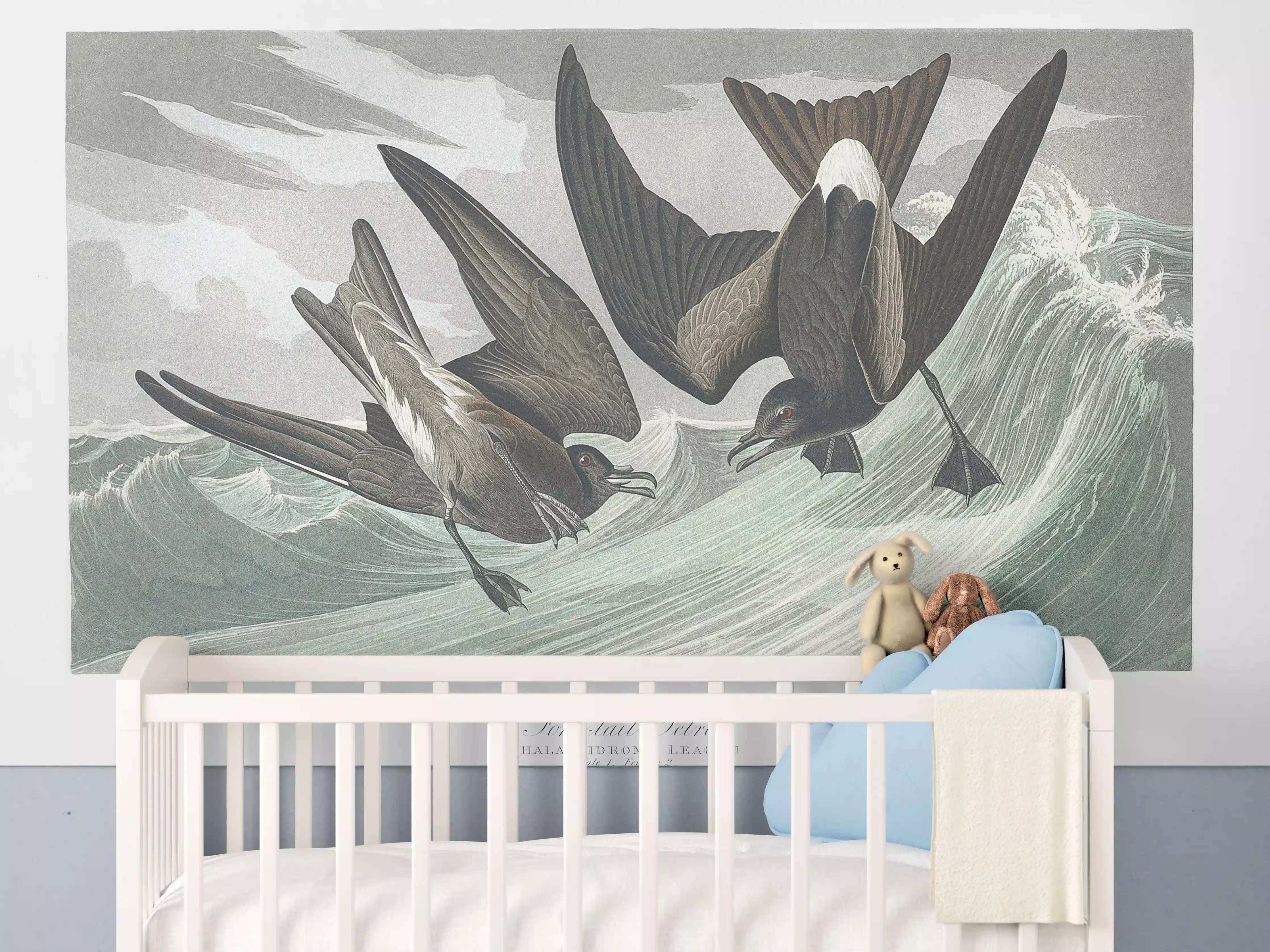 Babyzimmer Wandgestaltung - Vögel mitten im Meer - Robert Havell 