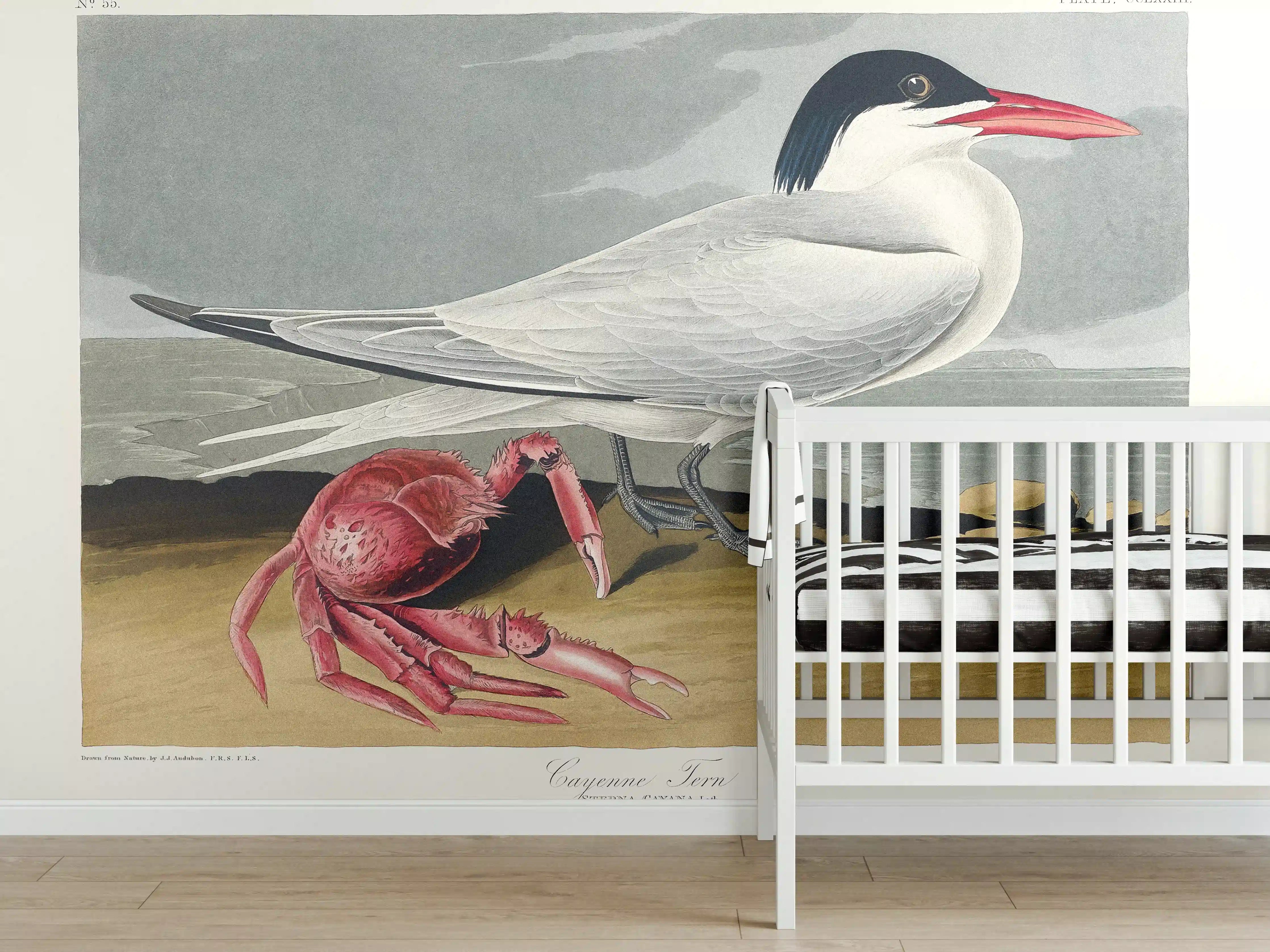 Babyzimmer Wandgestaltung - Vogel Portrait - Robert Havell