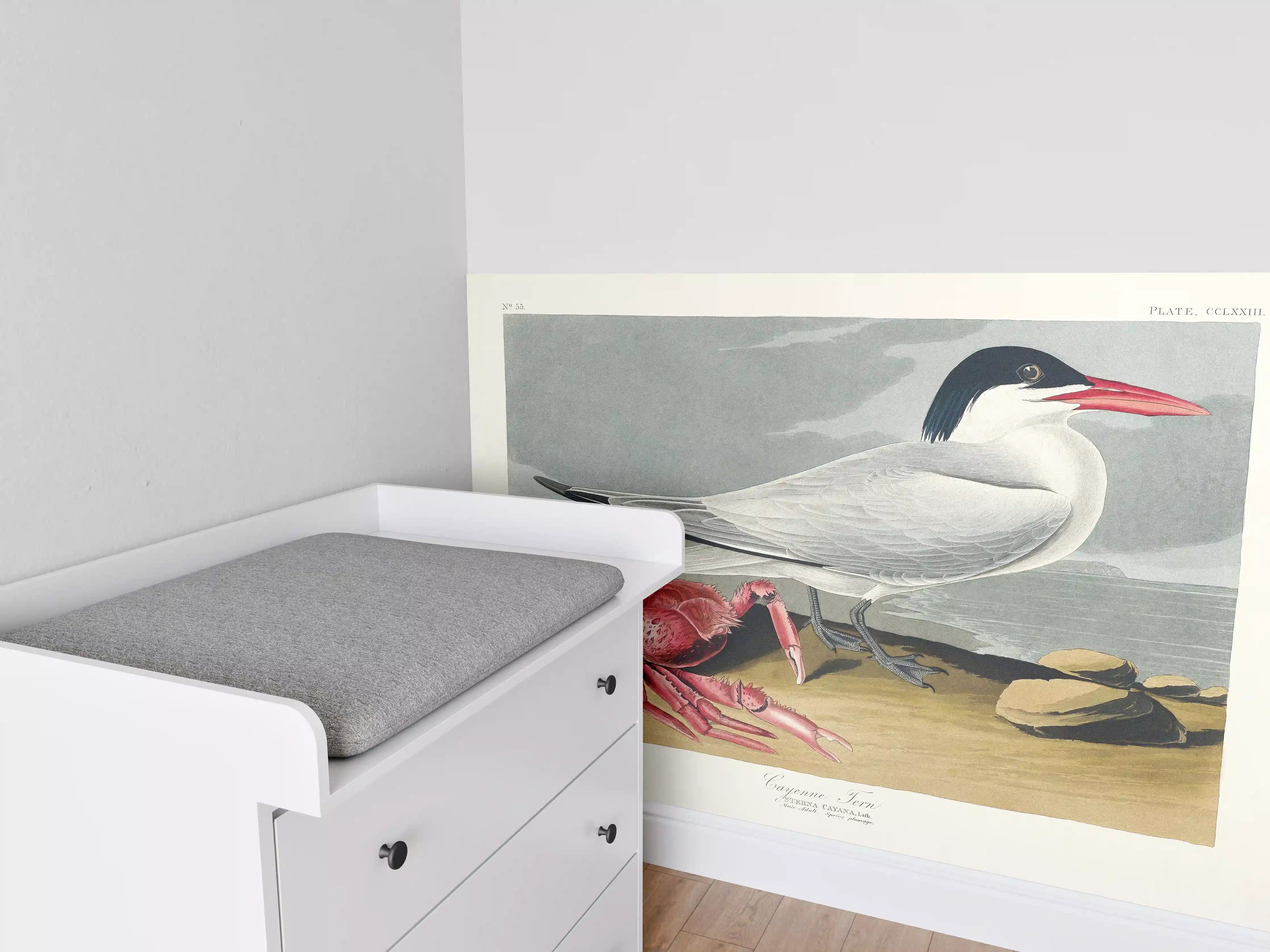 Babyzimmer Wandgestaltung - Vogel Portrait - Robert Havell