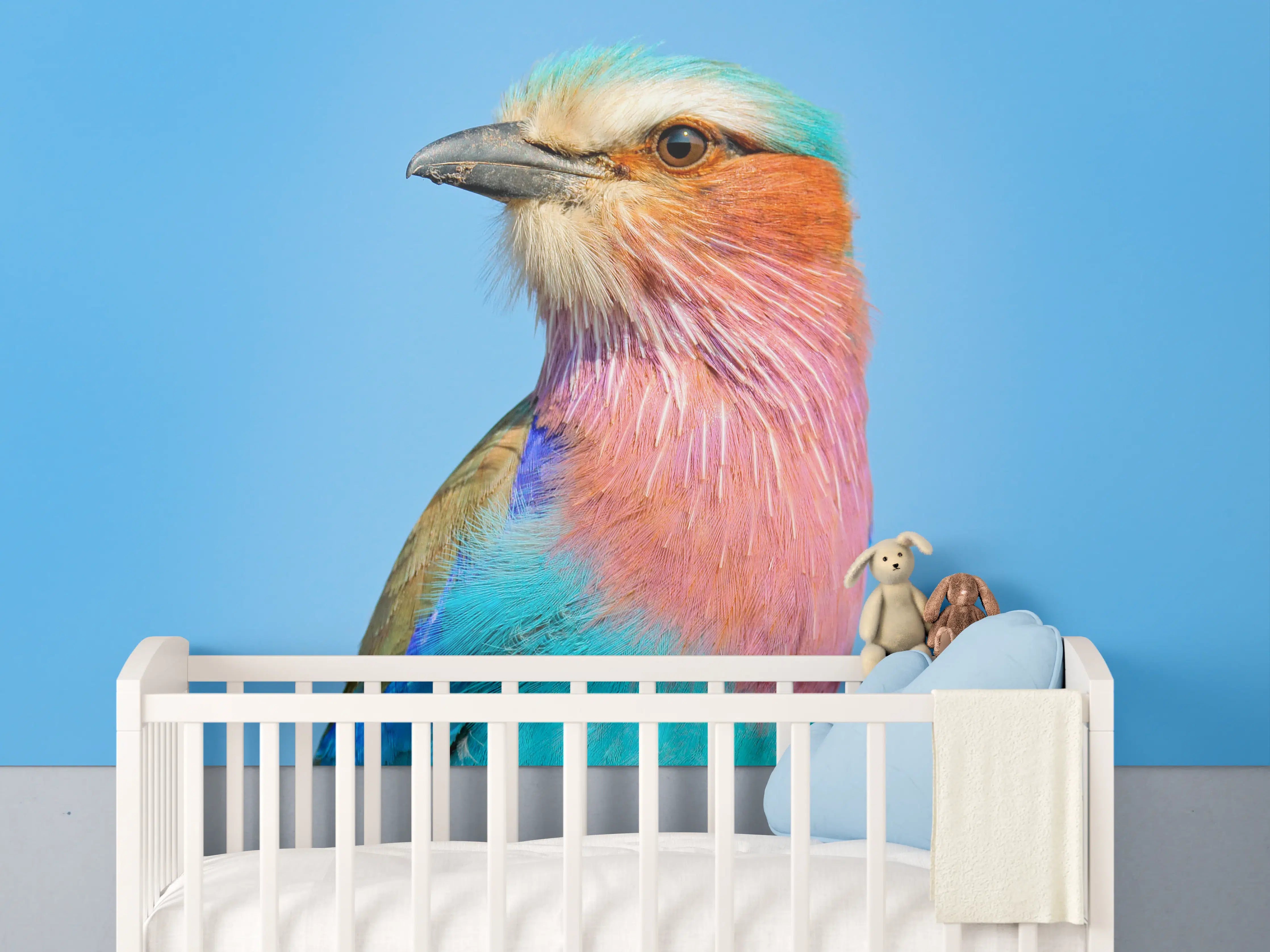 Babyzimmer Wandgestaltung - Vogel mit buntem Gefieder vor hellem Himmel