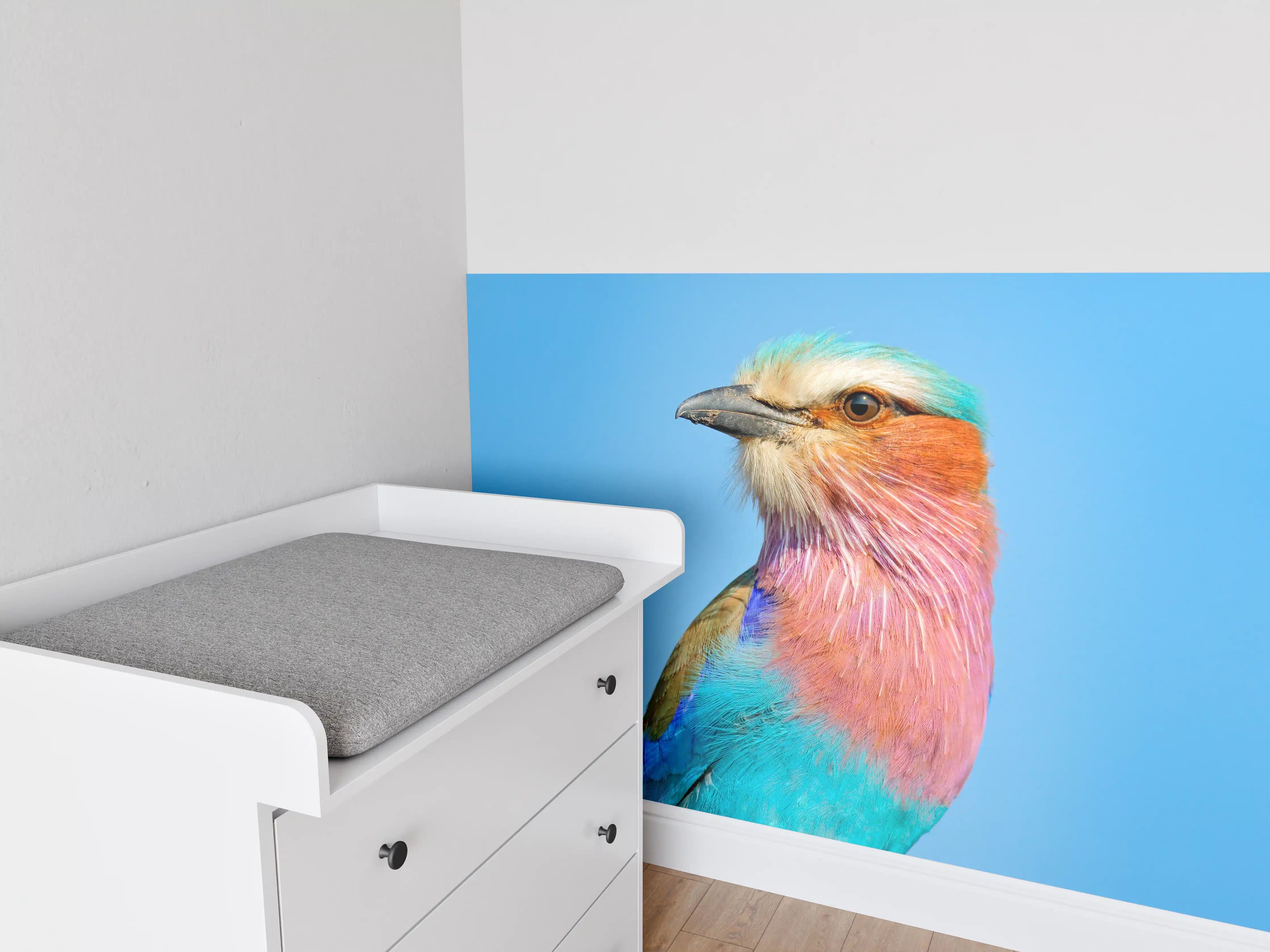 Babyzimmer Wandgestaltung - Vogel mit buntem Gefieder vor hellem Himmel