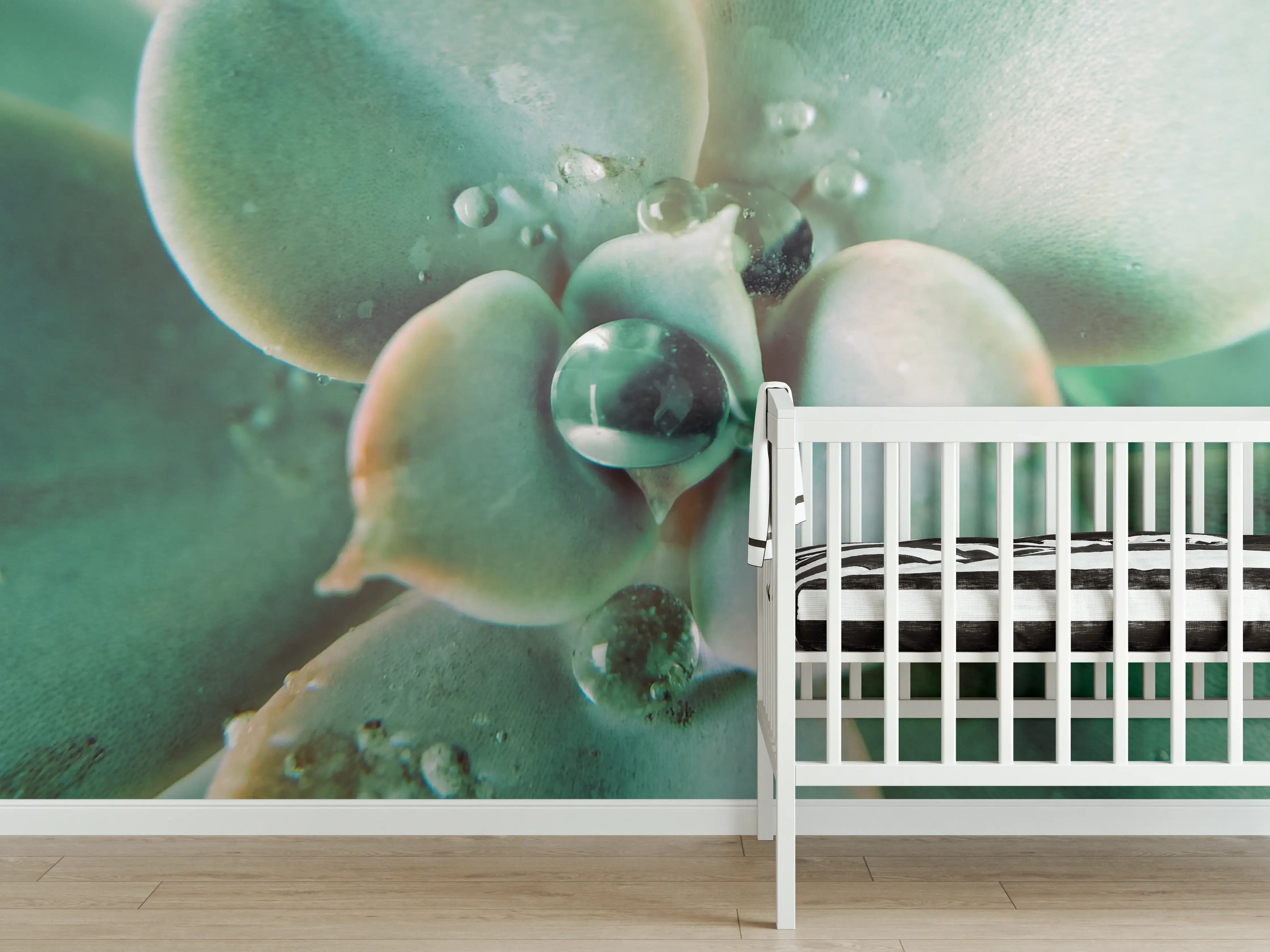 Babyzimmer Wandgestaltung - Wassertropfen - Sukkulente