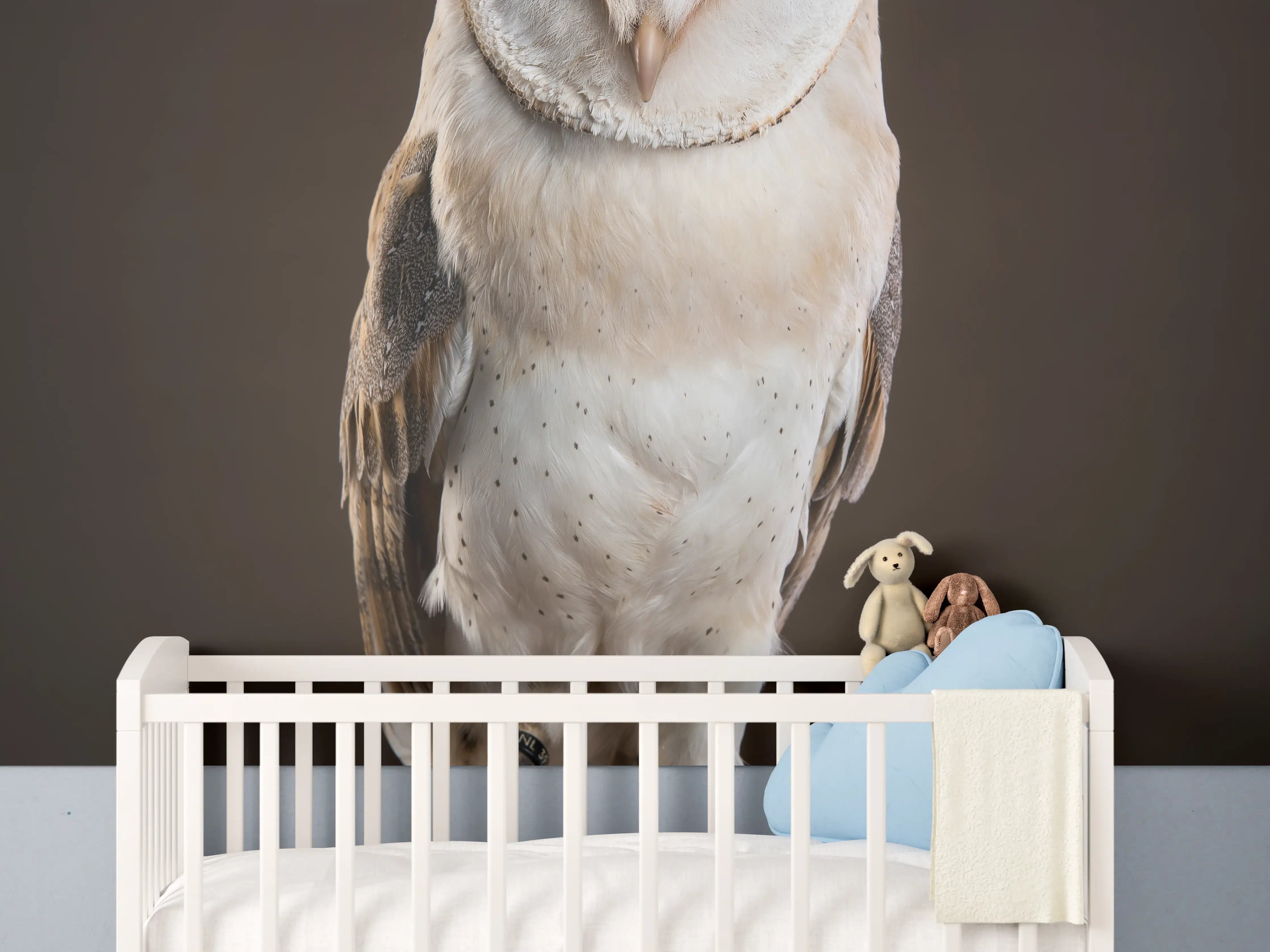 Babyzimmer Wandgestaltung - Weiß-Brauner Waldkauz auf Ast