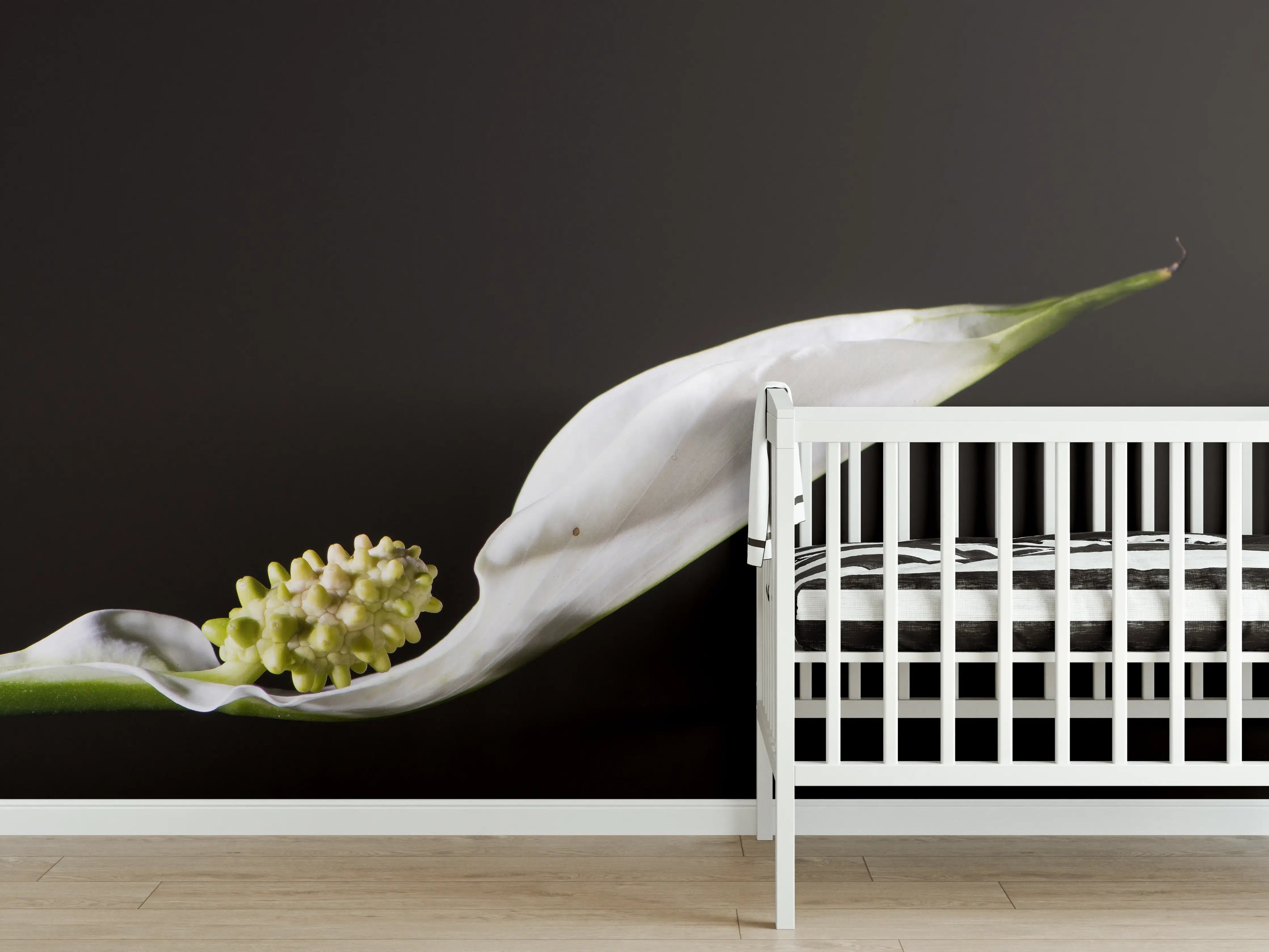 Babyzimmer Wandgestaltung - Weiße Blume auf schwarzem Hintergrund