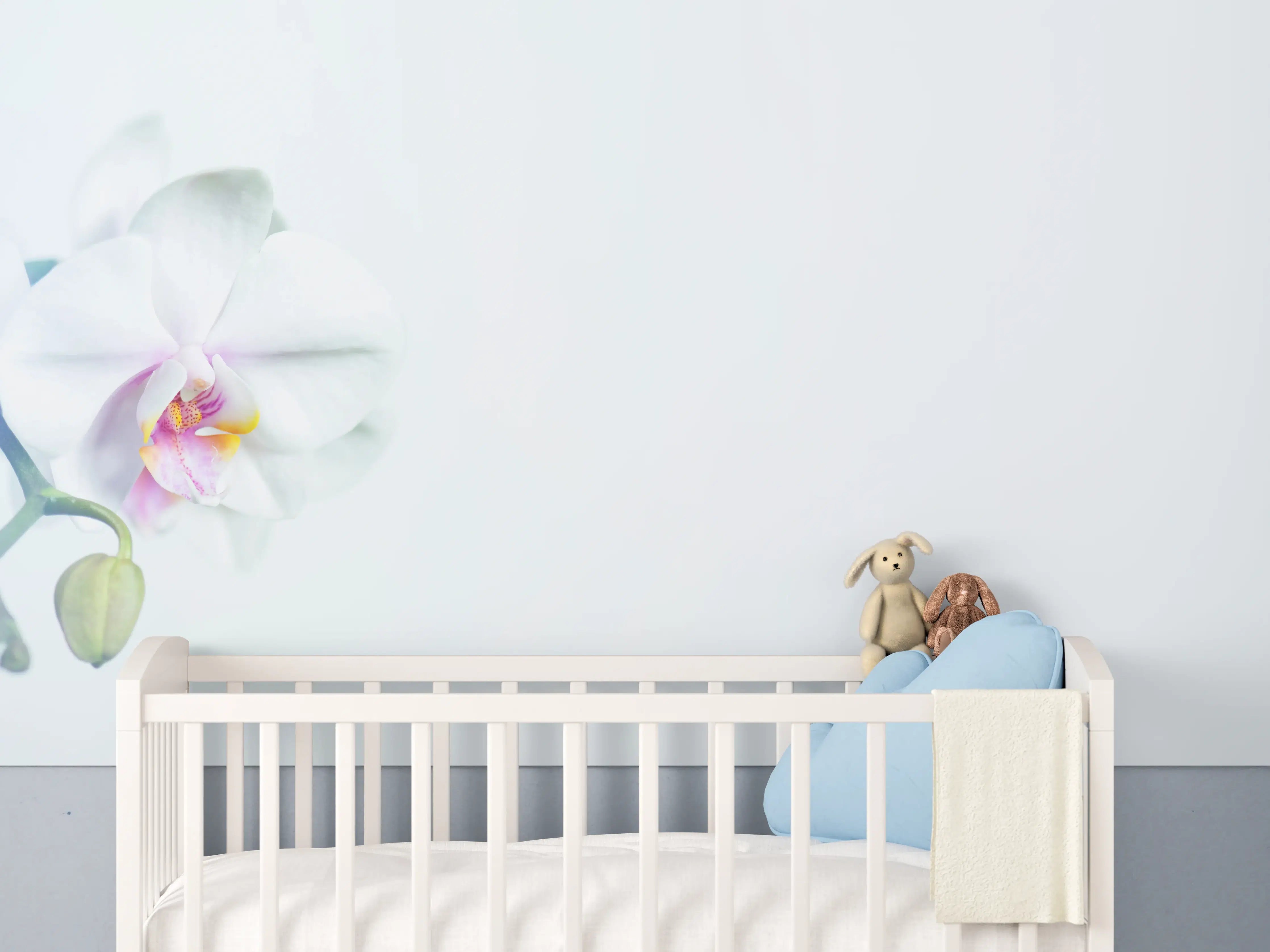 Babyzimmer Wandgestaltung - Weiße Orchidee in Pastell
