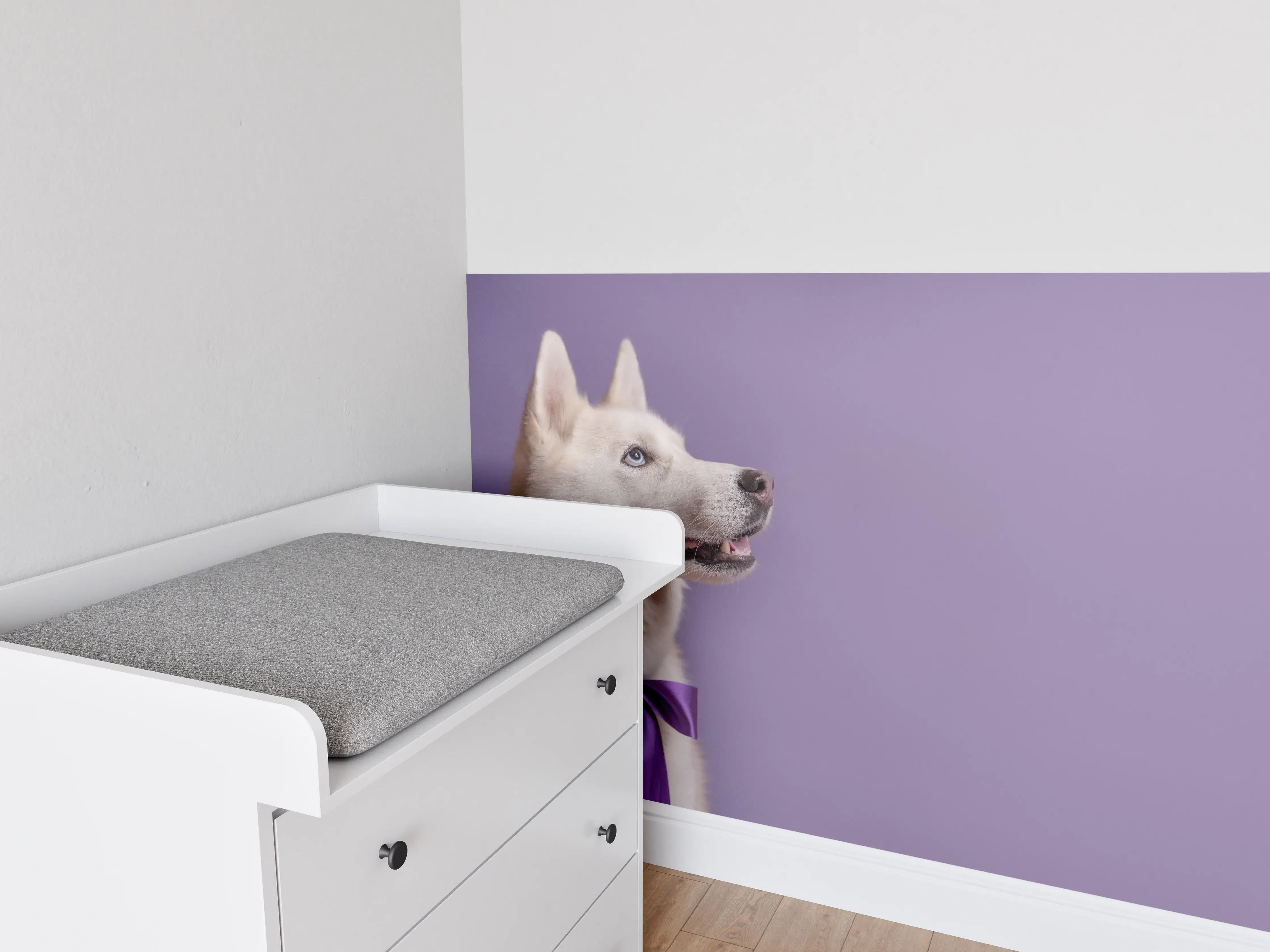 Babyzimmer Wandgestaltung - Weißer sibirischer Husky Hund mit violetter Fliege