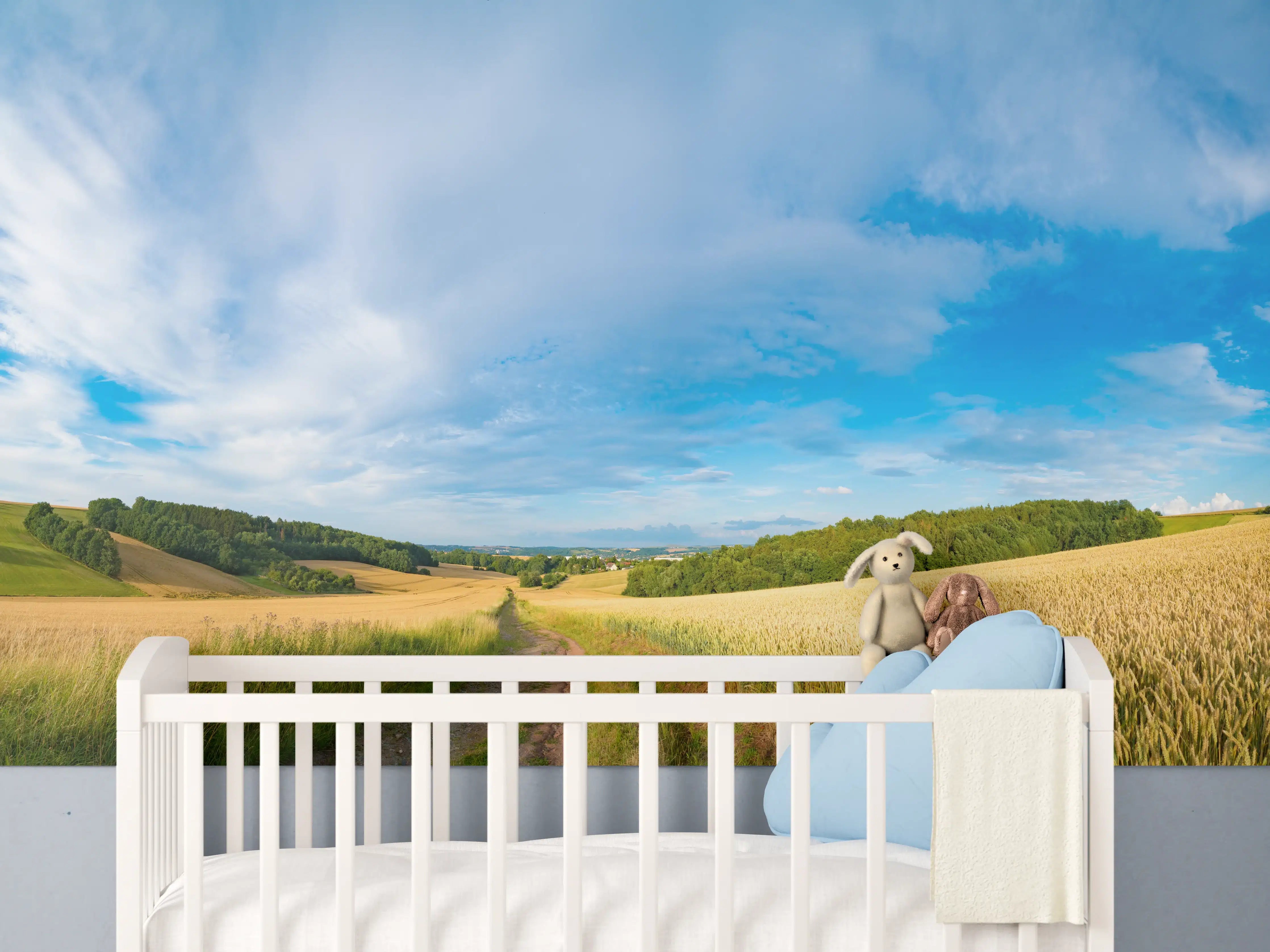 Babyzimmer Wandgestaltung - Weizenfeldes am Morgen - Kansas