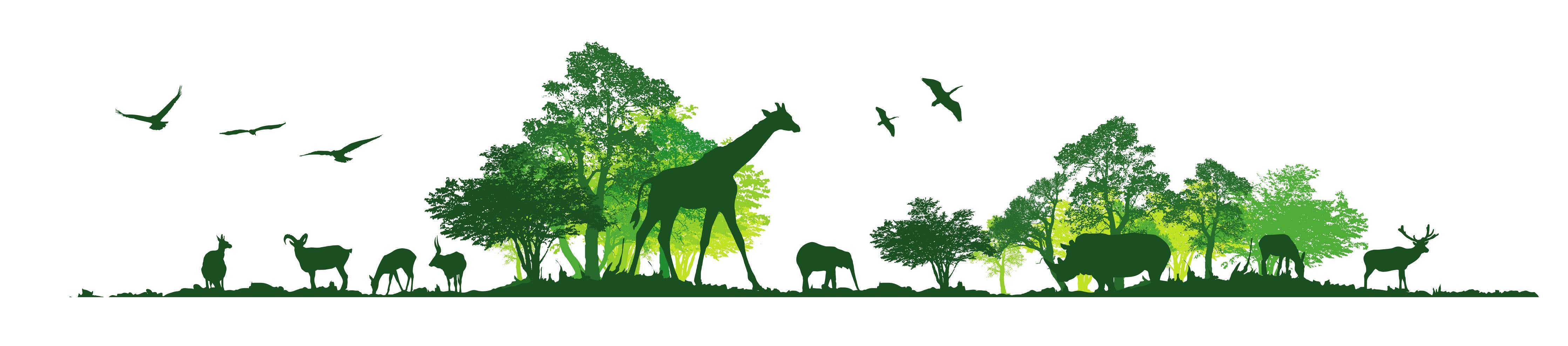 Babyzimmer Wandgestaltung-Wilde Tiere