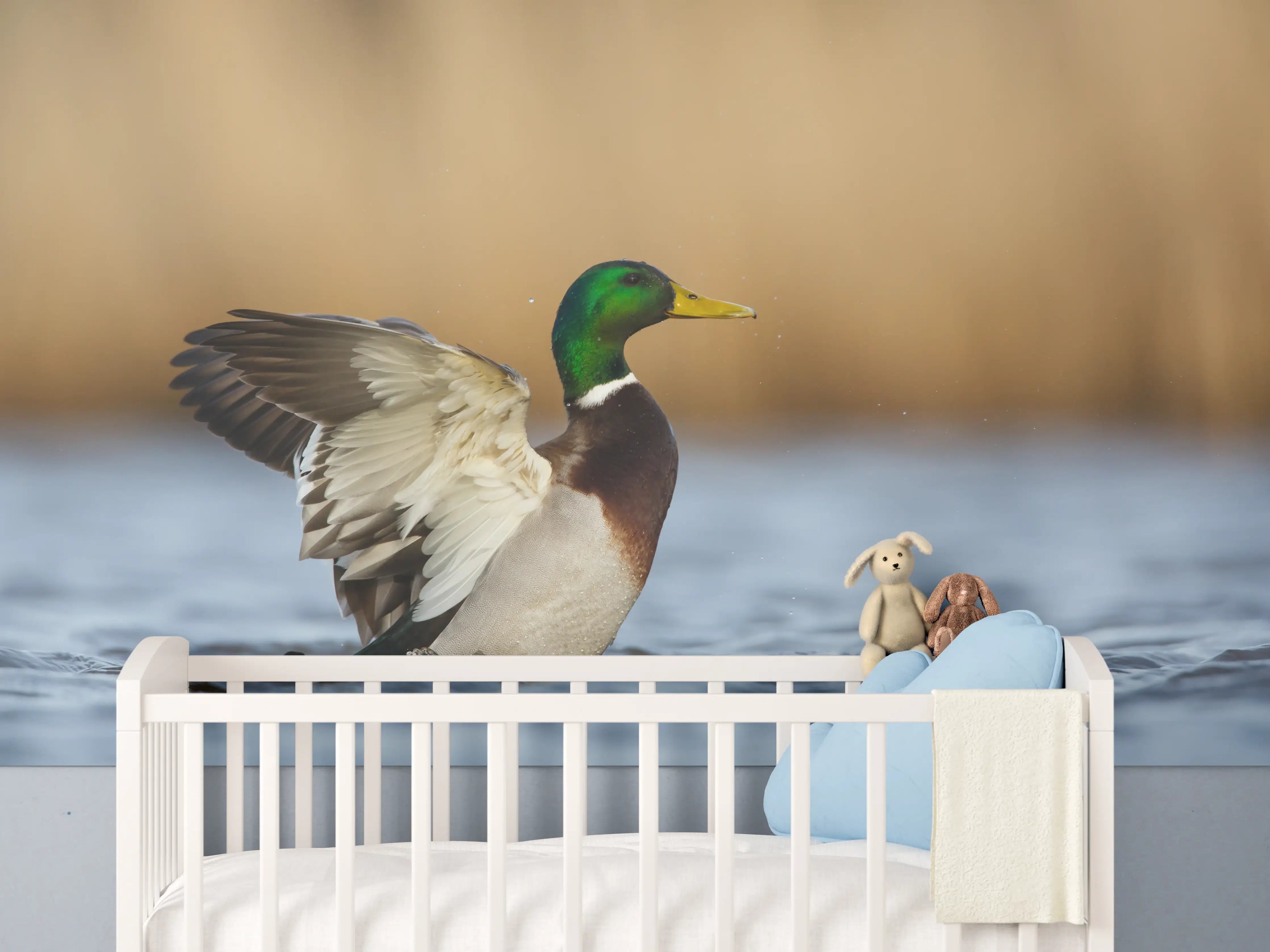 Babyzimmer Wandgestaltung - Wildente auf dem Wasser