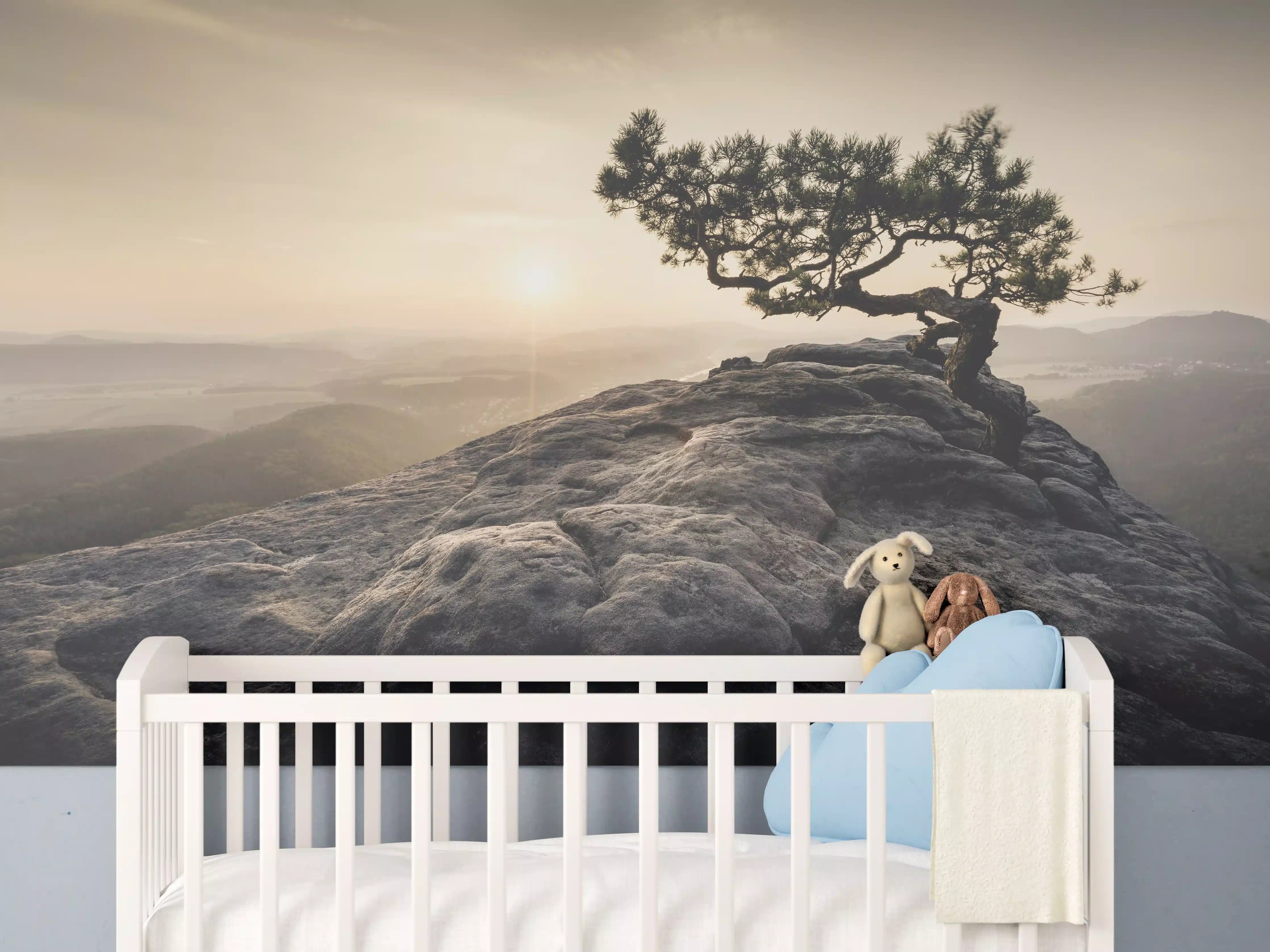 Babyzimmer Wandgestaltung - alte Kiefer zum Sonnenaufgang - Sächsische Schweiz