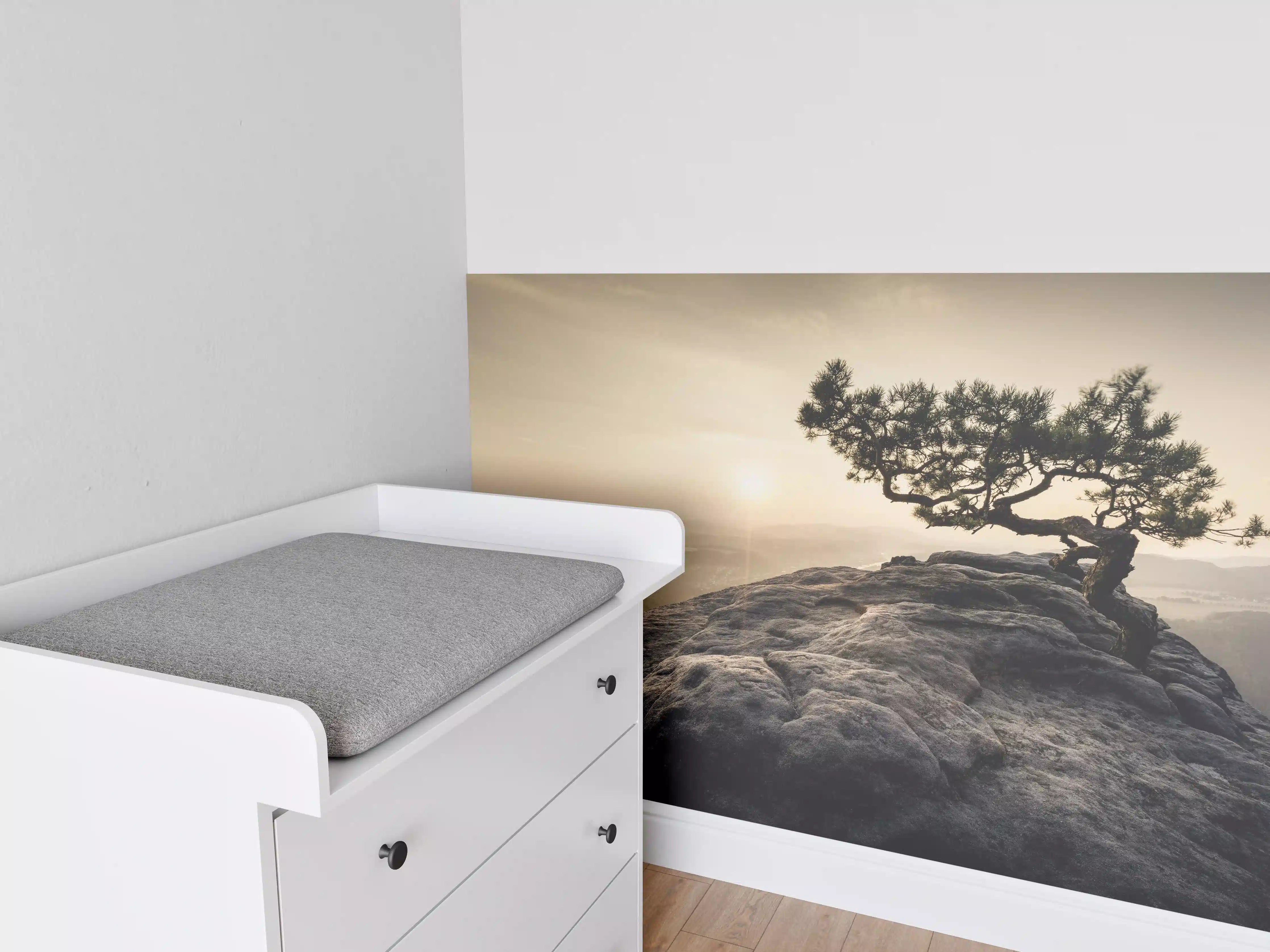 Babyzimmer Wandgestaltung - alte Kiefer zum Sonnenaufgang - Sächsische Schweiz