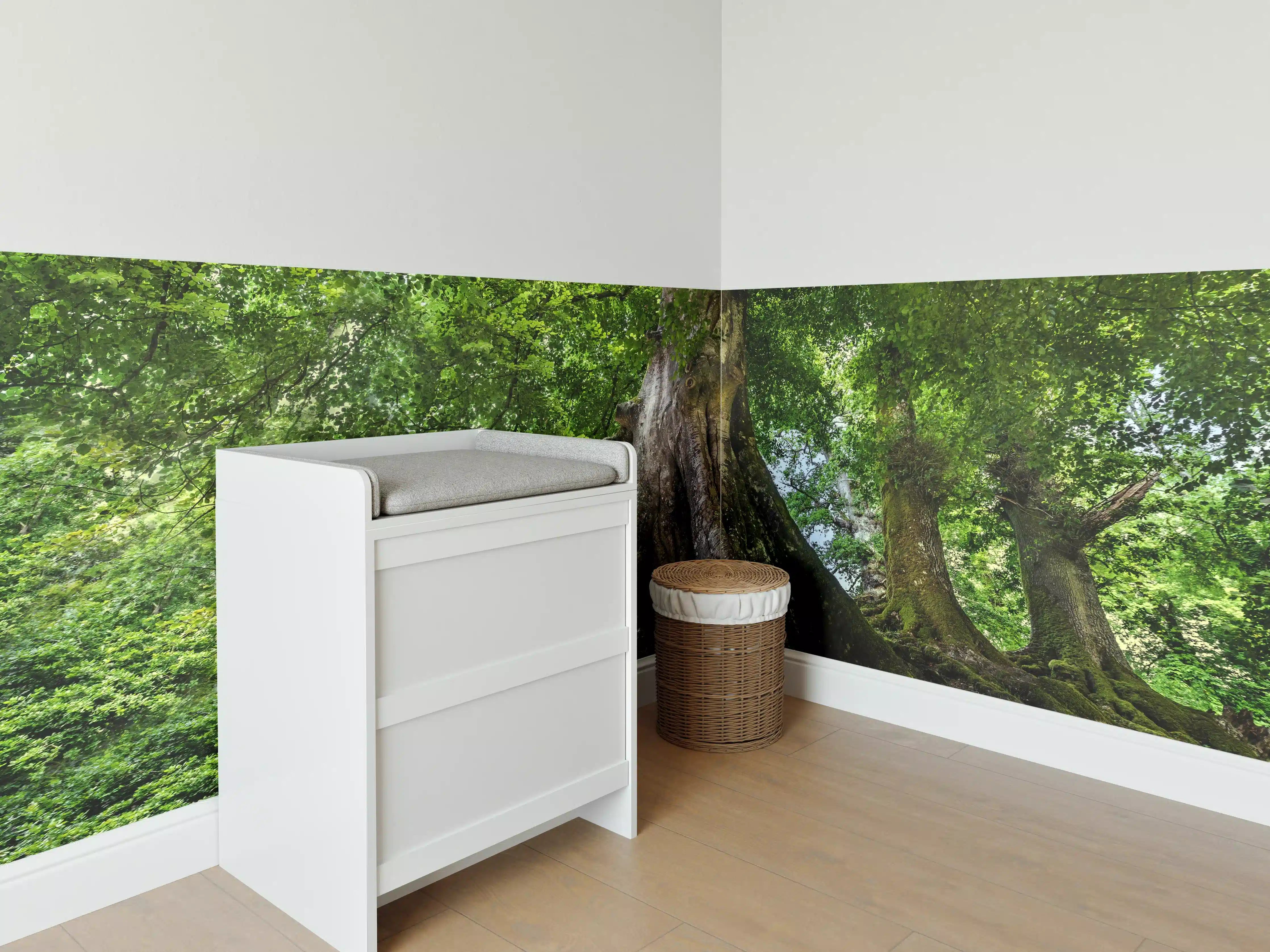 Babyzimmer Wandgestaltung - großer alter Baum in Froschperspektive
