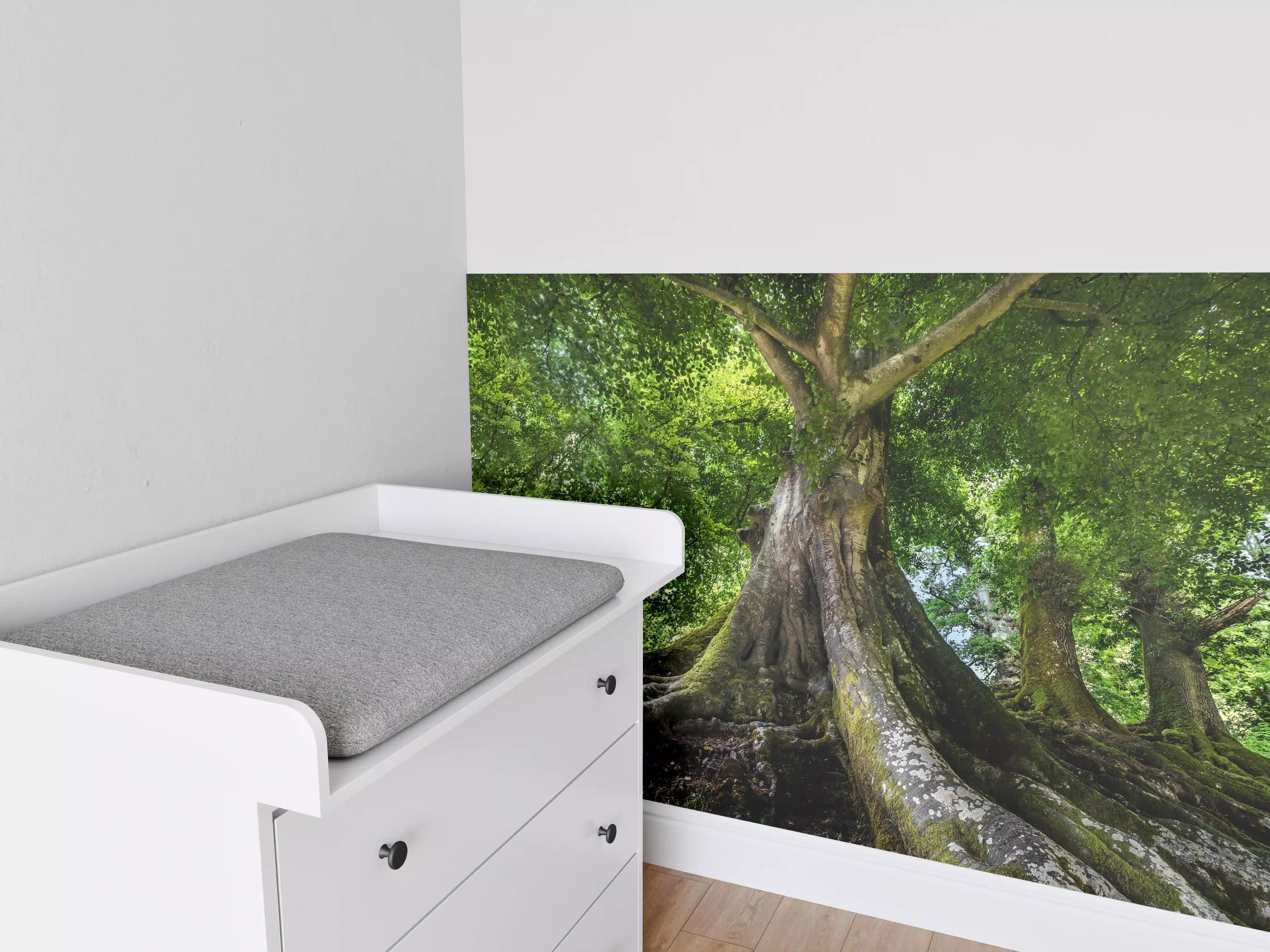 Babyzimmer Wandgestaltung - großer alter Baum in Froschperspektive
