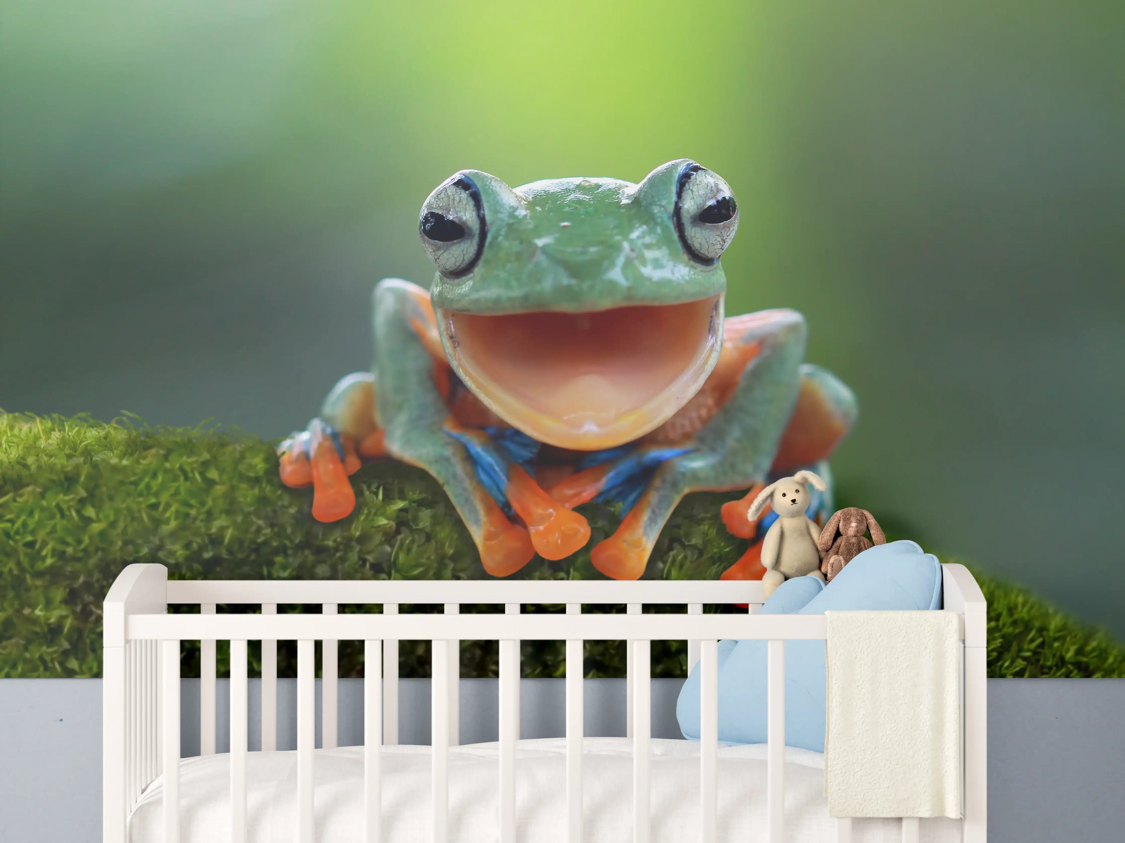 Babyzimmer Wandgestaltung - niedlicher Laubfrosch in Nahaufnahme