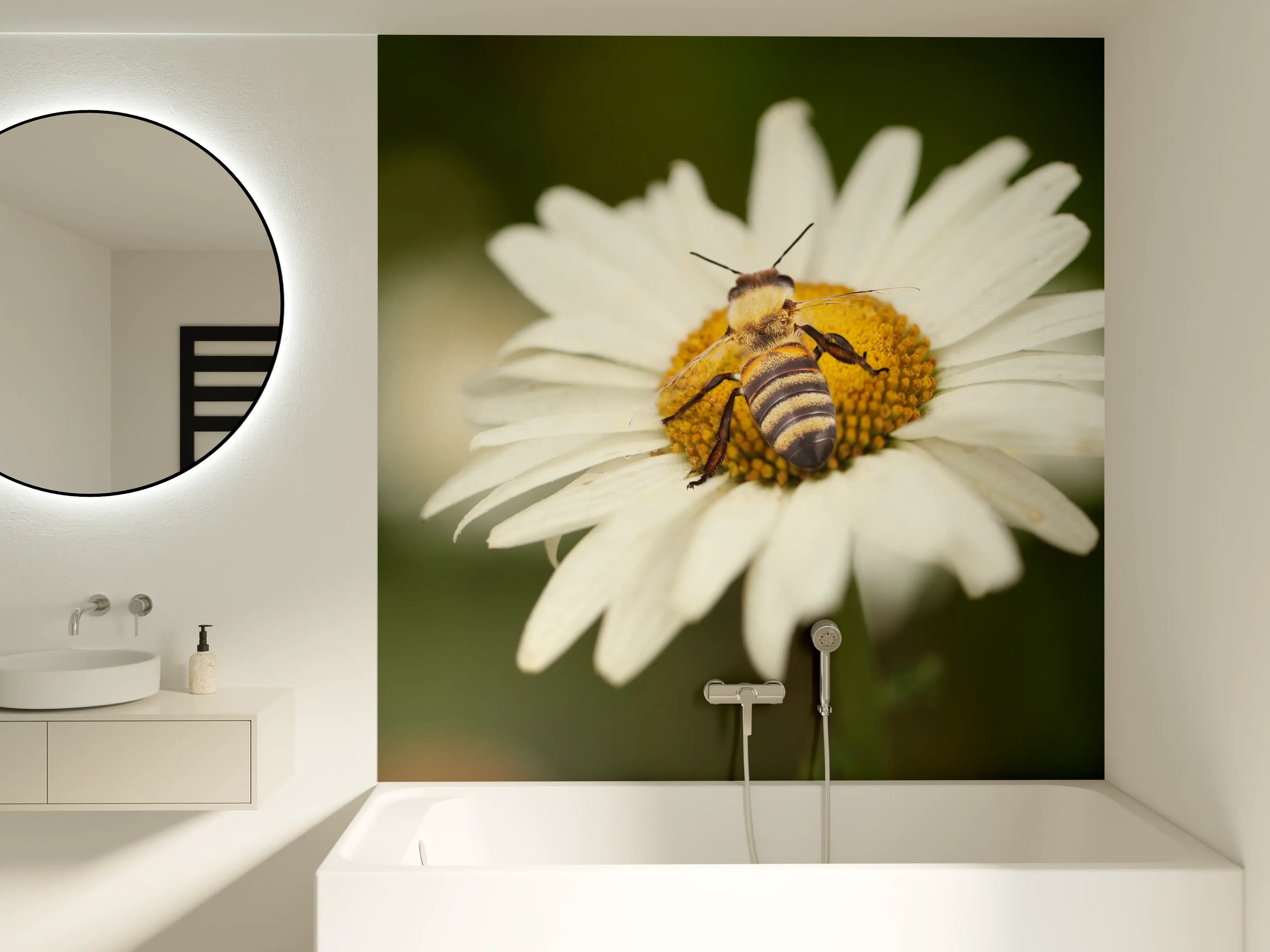 Badewannen-Rückwand - Biene auf einem Gänseblümchen