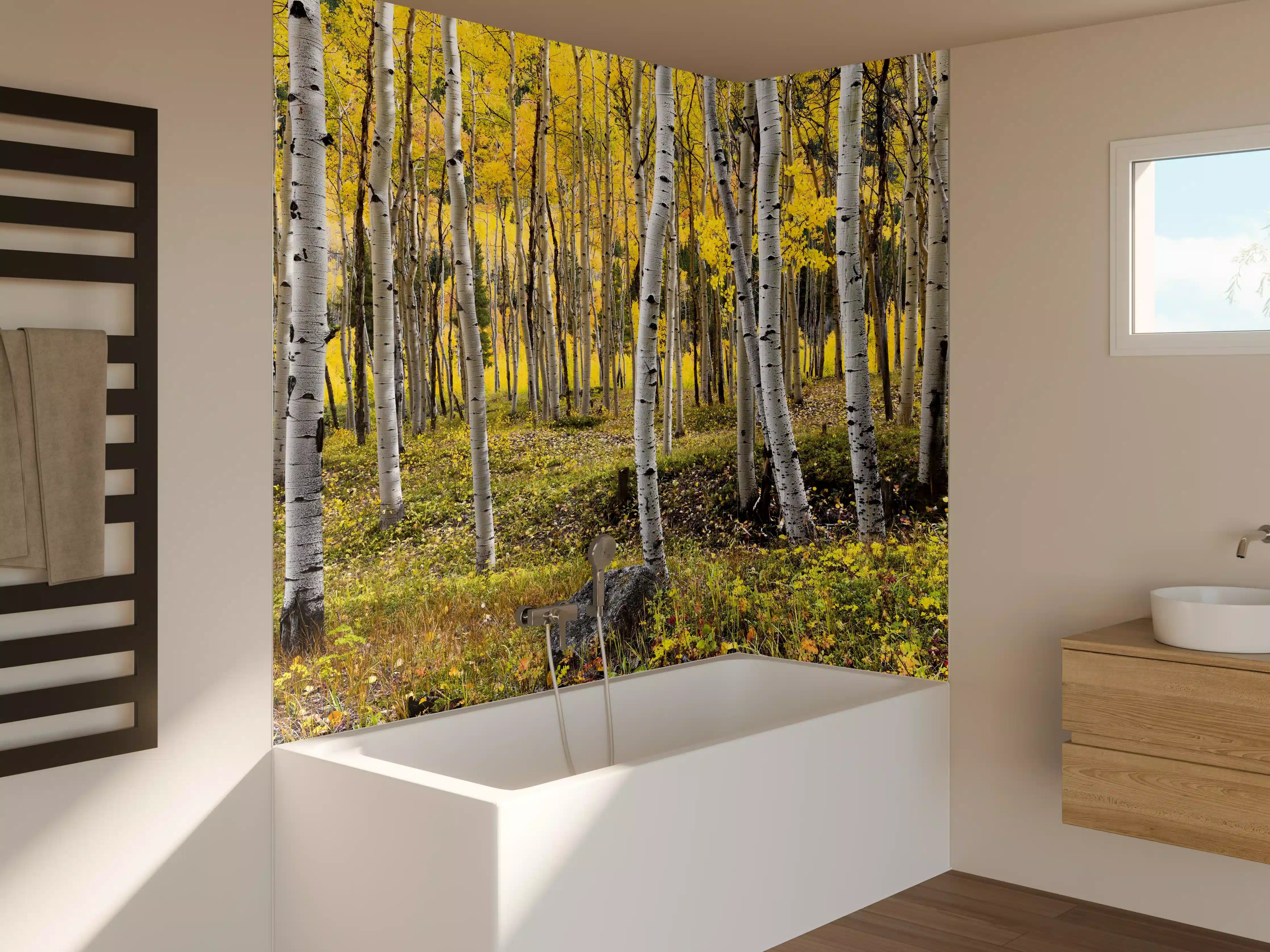 Badewannen-Rückwand - Birken im Herbst