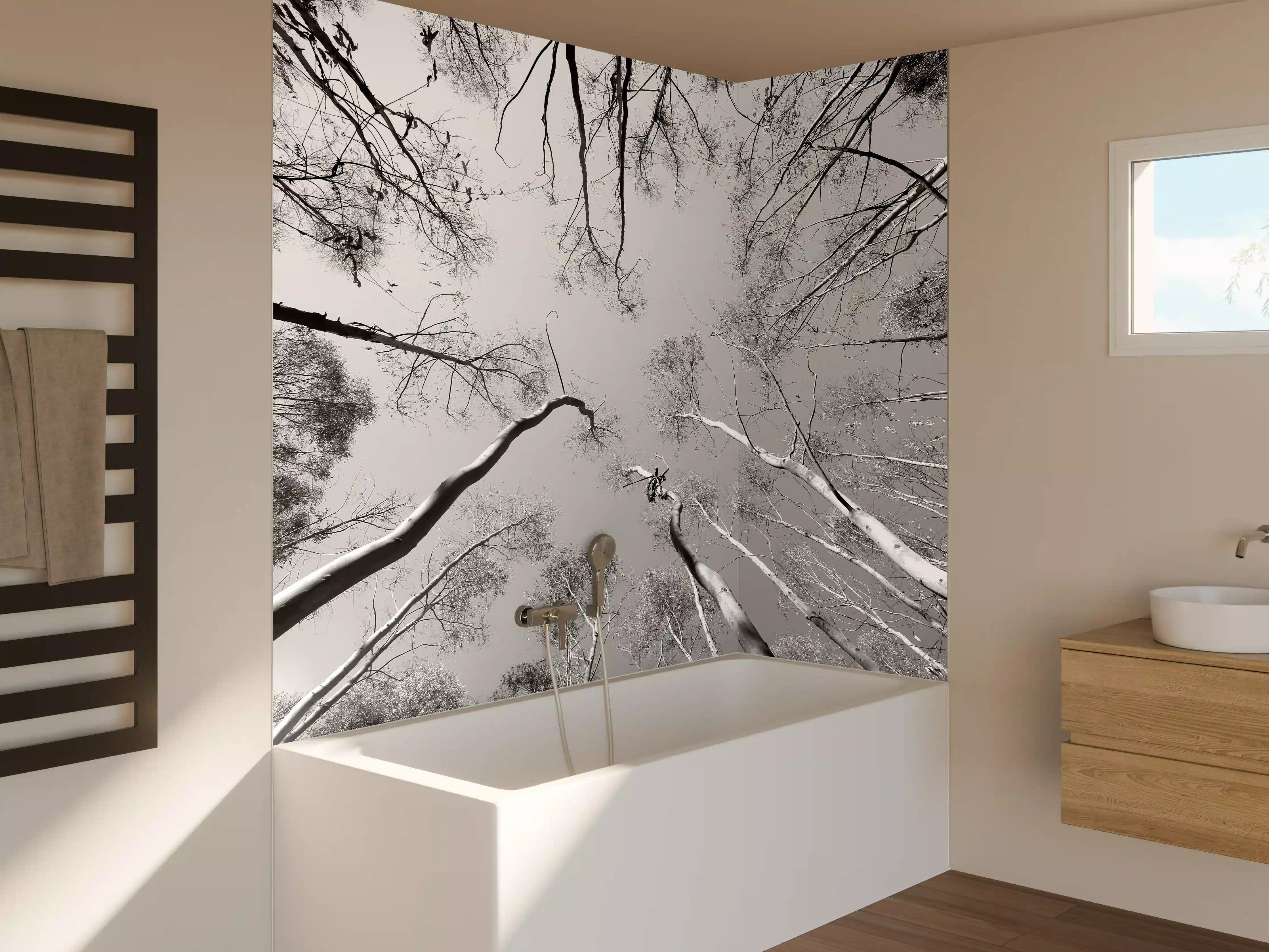 Badewannen-Rückwand - Birkenwald im Winter von unten