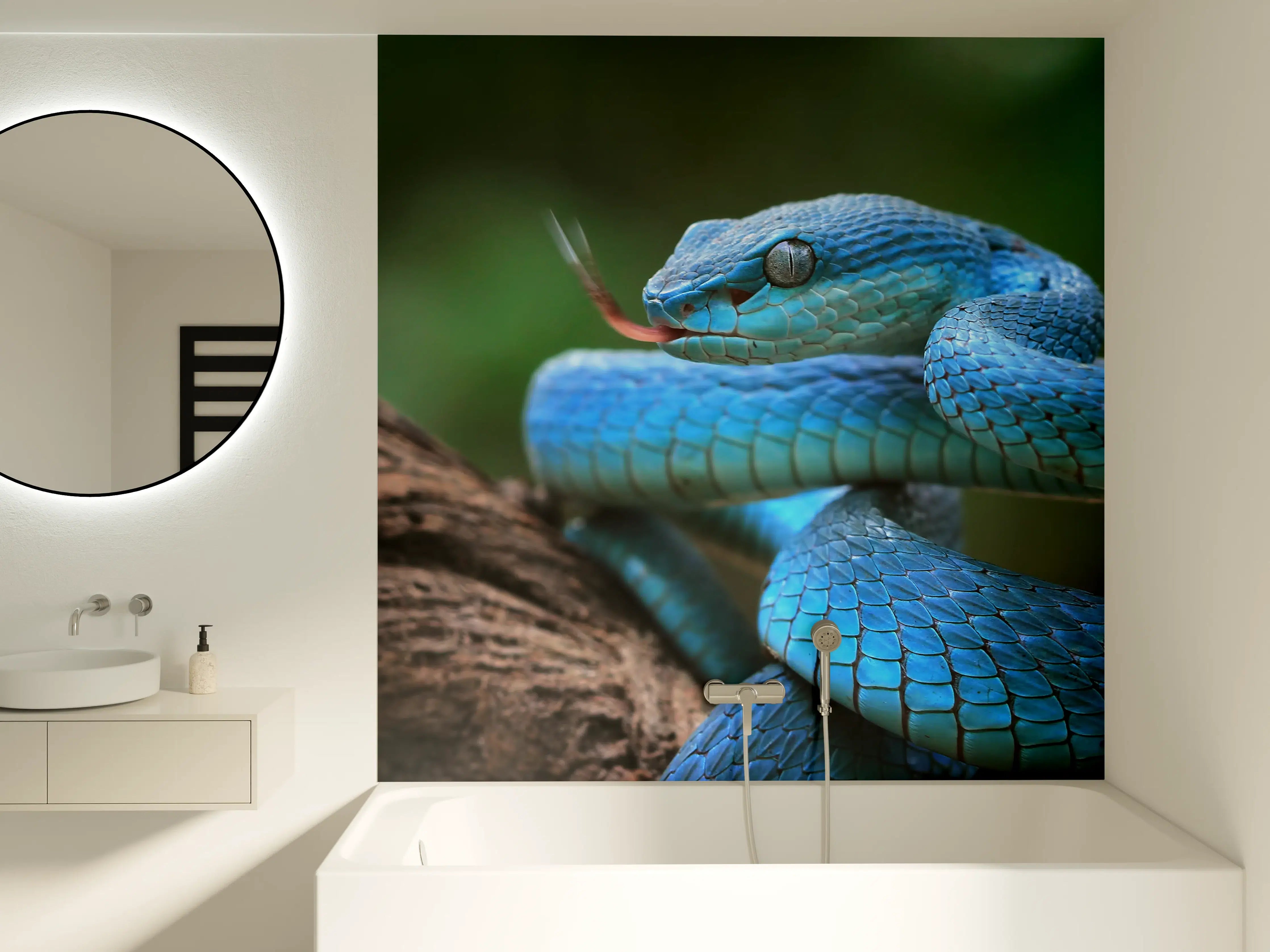 Badewannen-Rückwand - Blaue Viper Nahaufnahme