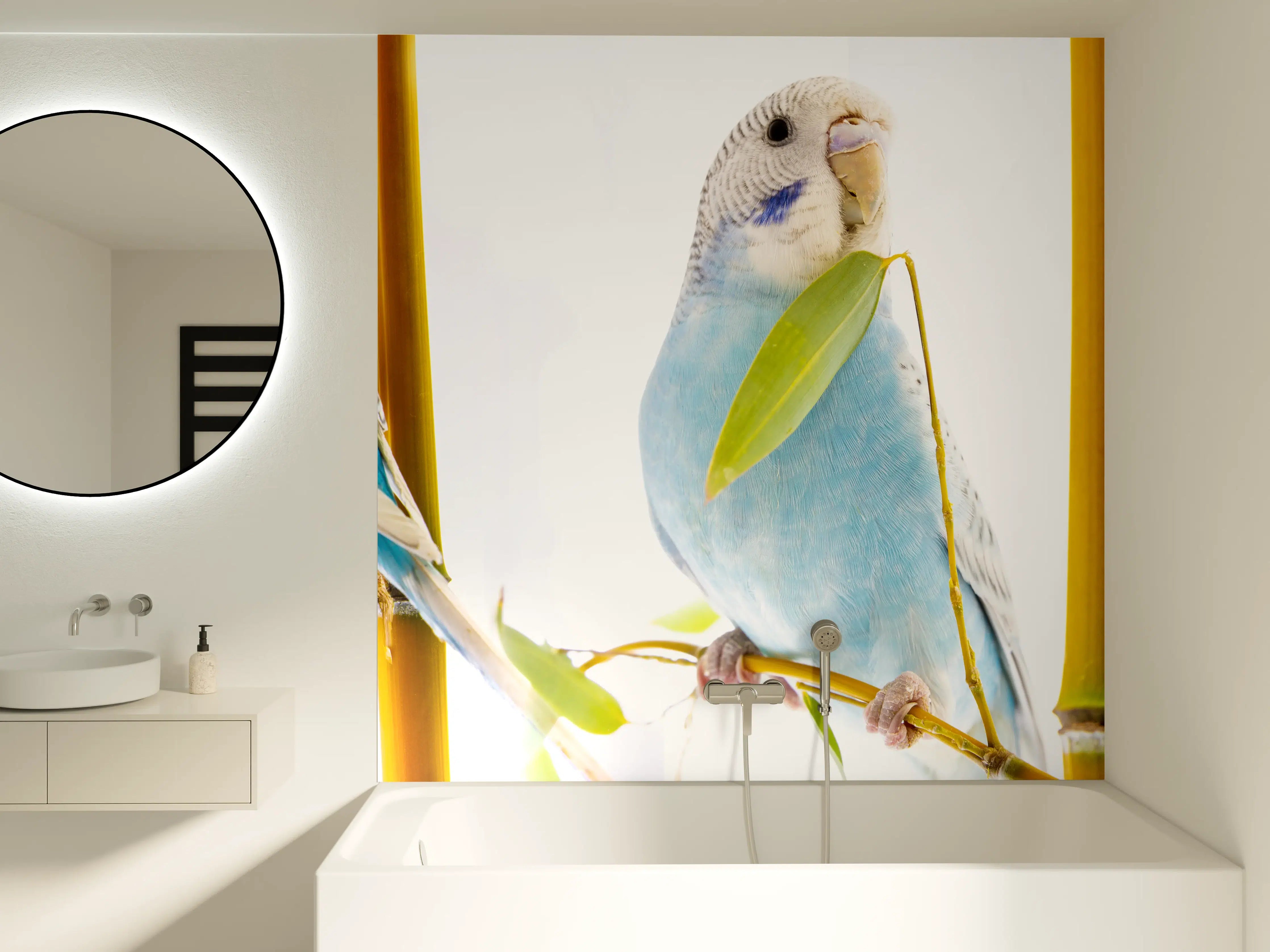 Badewannen-Rückwand - Blaue gewellte Papageien auf weißem Hintergrund