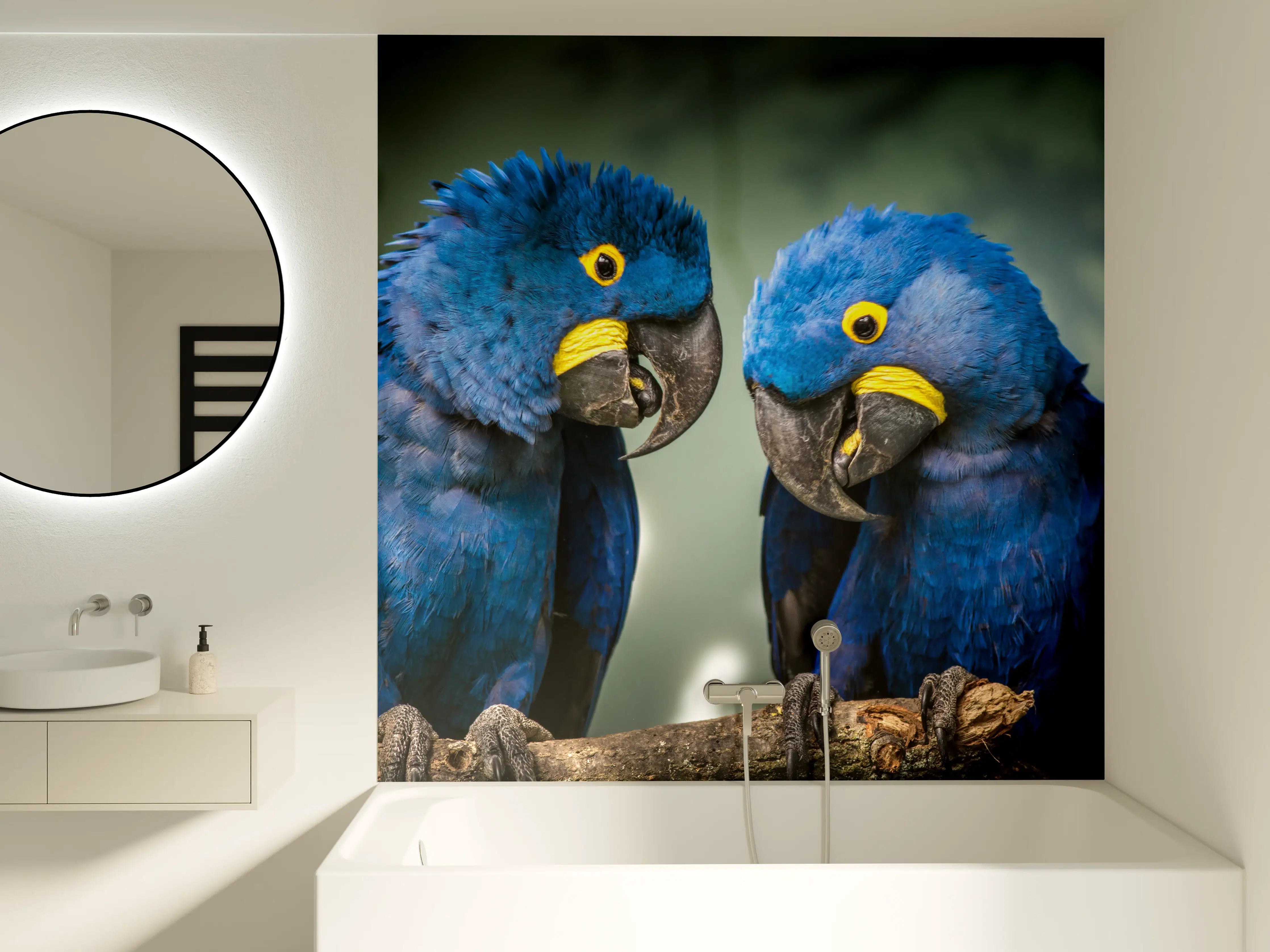 Badewannen-Rückwand - Blauer Gelbschwarzer Ara