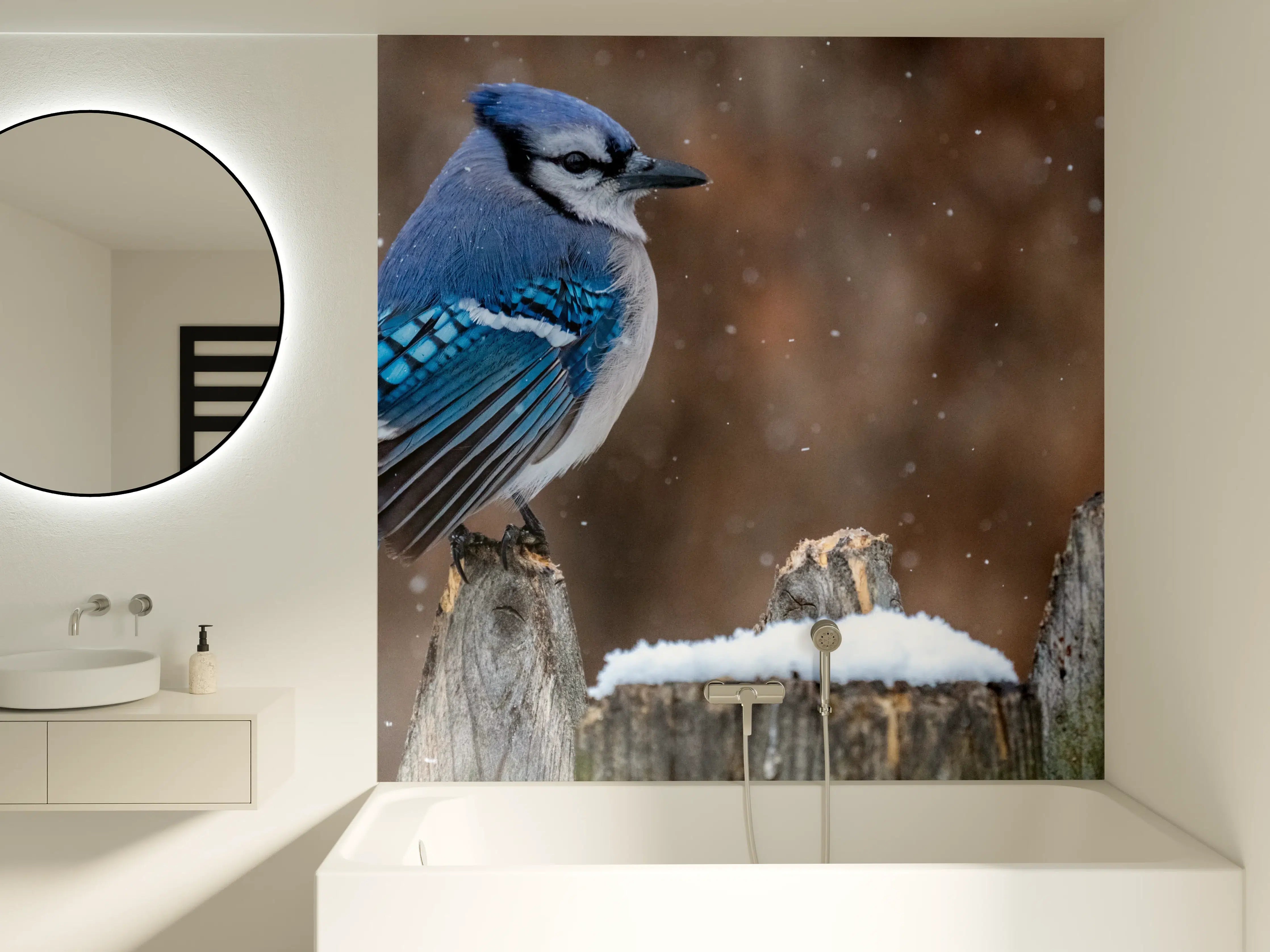 Badewannen-Rückwand - Blauhäher im Schnee
