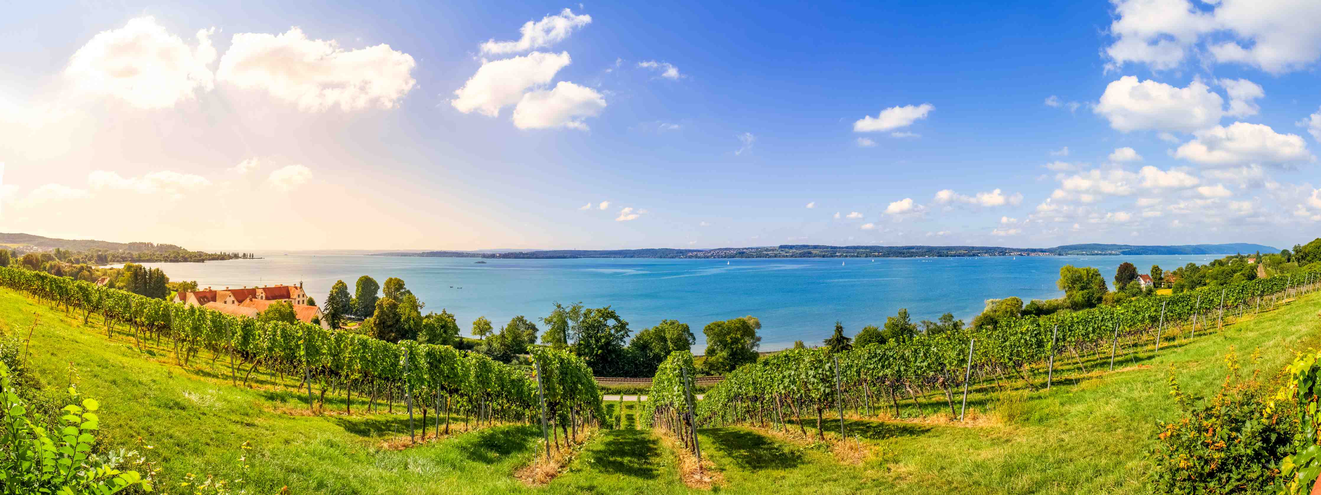 Badewannen-Rückwand-Bodensee Panorama in Birnau