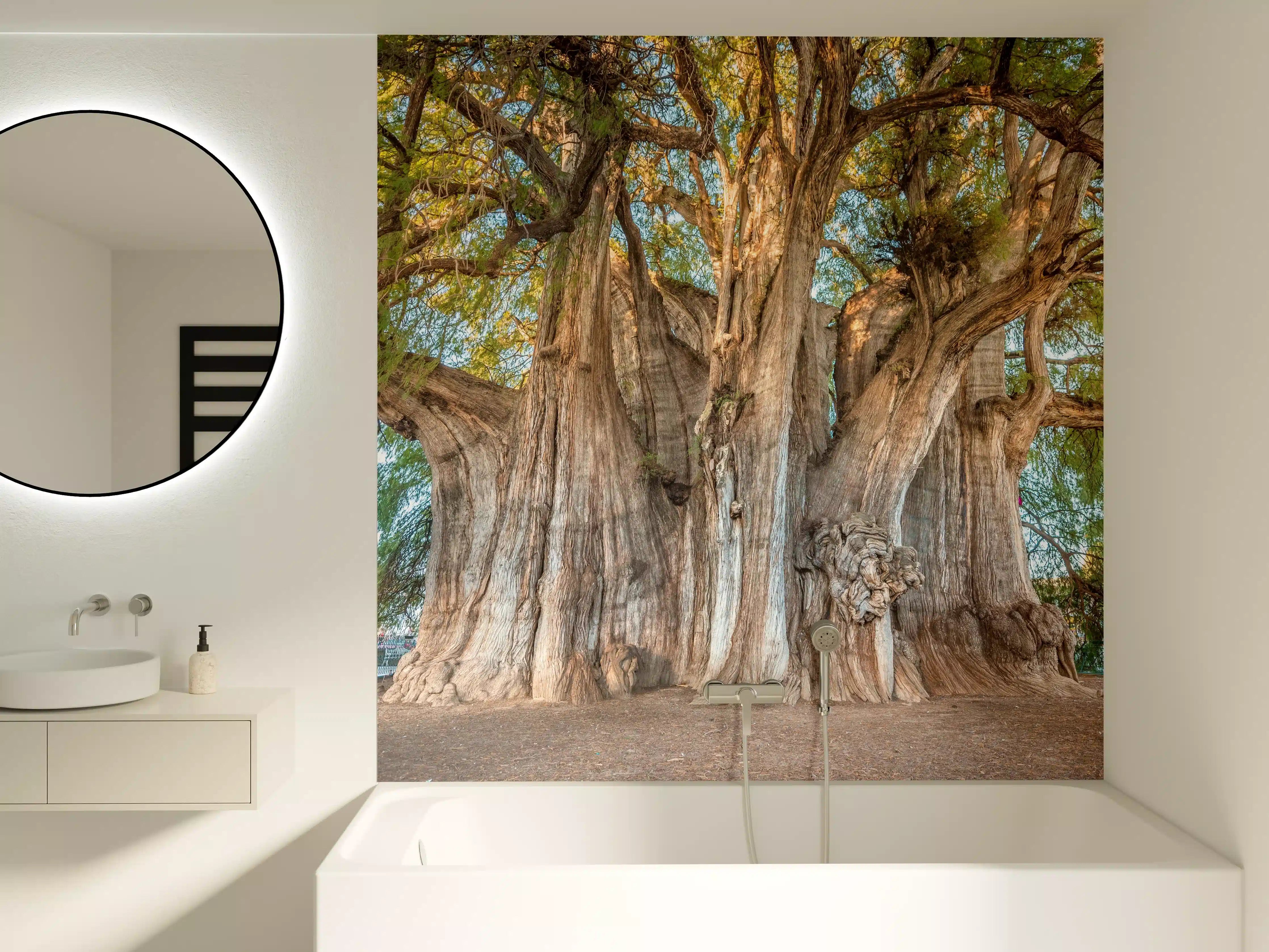 Badewannen-Rückwand - Der größte Baum der Welt - Mexico