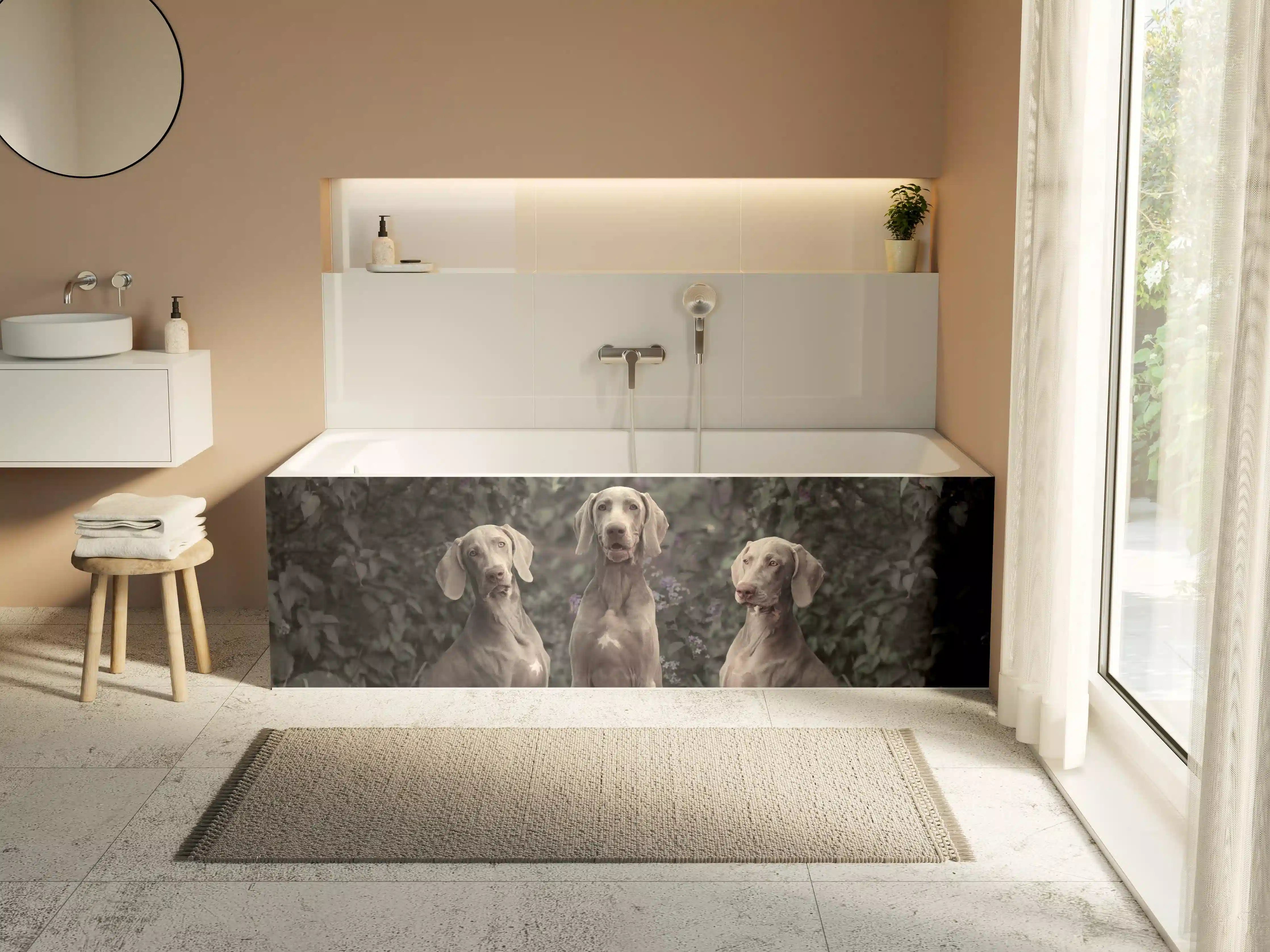 Badewannen-Rückwand - Drei Weimaranerhunde sitzend im Fliedergebüsch