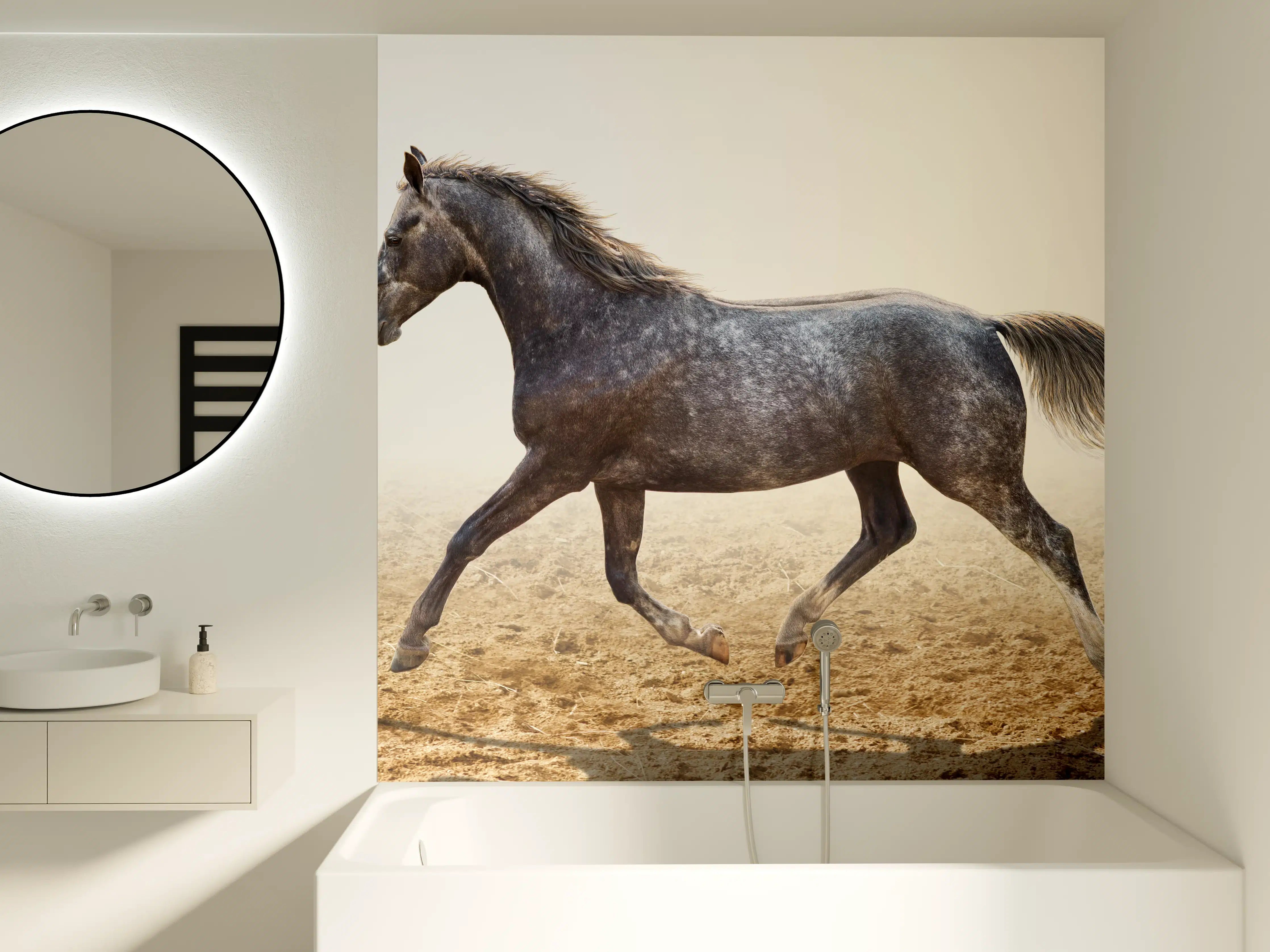 Badewannen-Rückwand - Ein graues Pferd reitend auf einem Feld