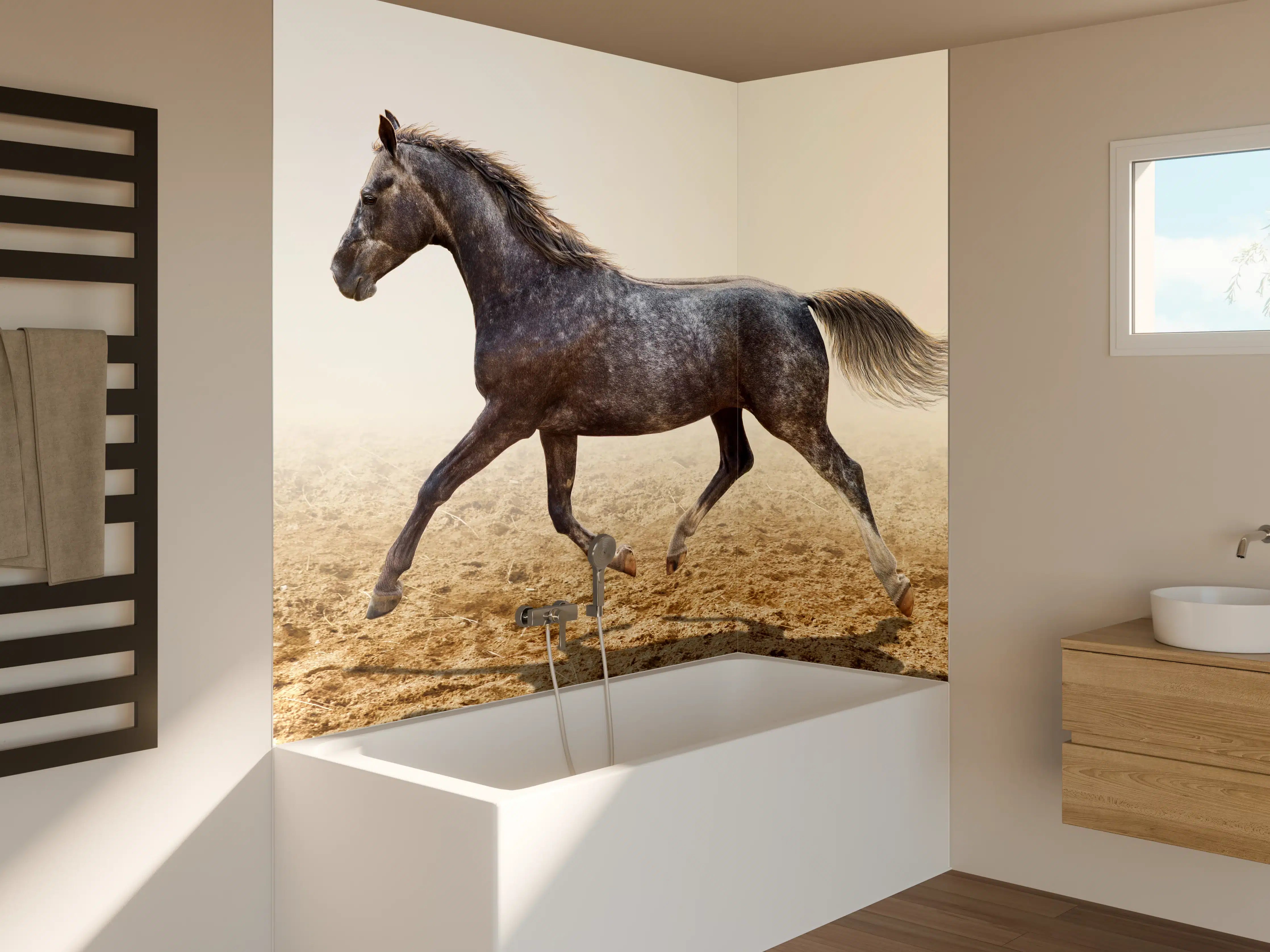 Badewannen-Rückwand - Ein graues Pferd reitend auf einem Feld