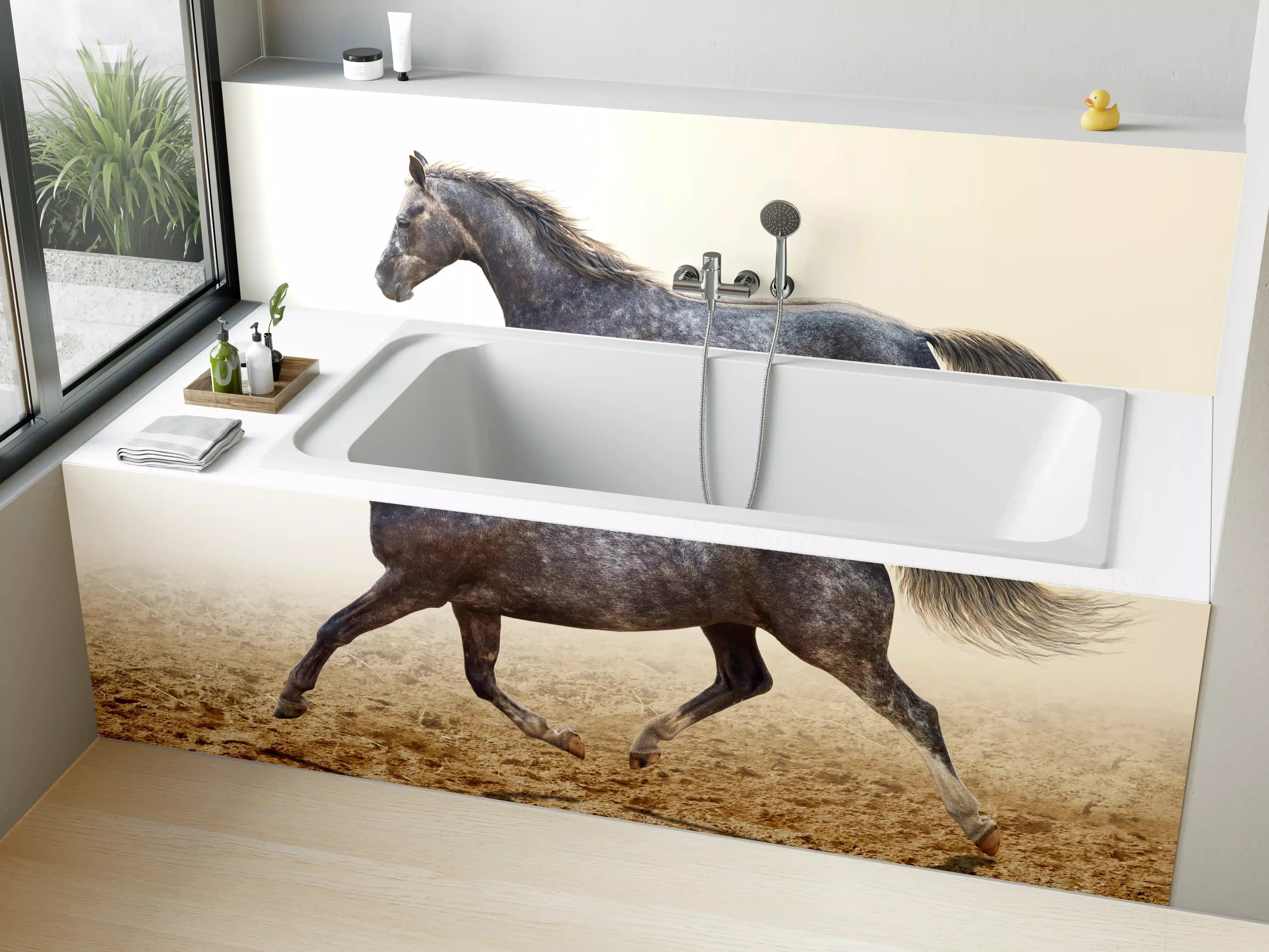 Badewannen-Rückwand - Ein graues Pferd reitend auf einem Feld
