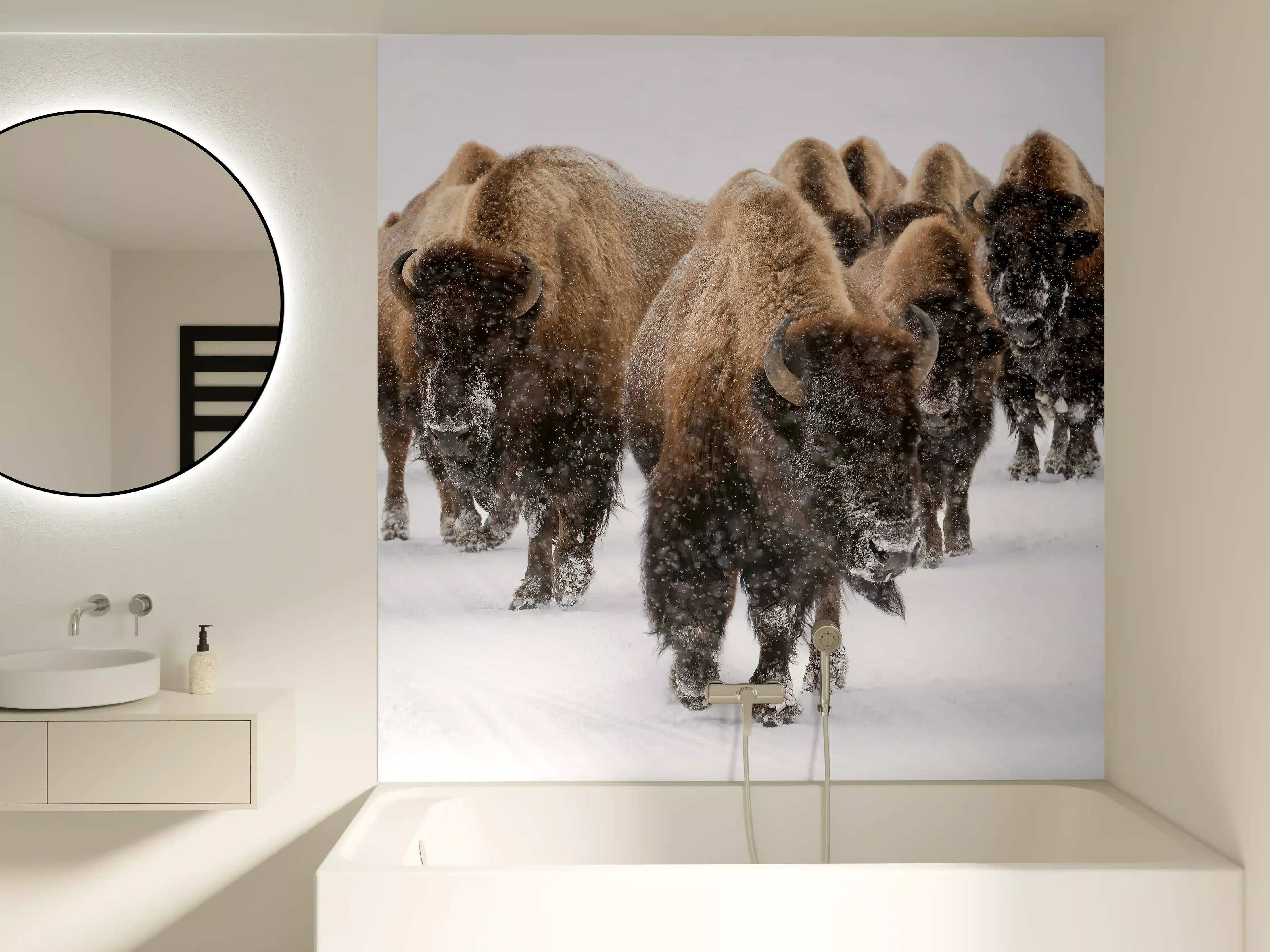 Badewannen-Rückwand - Eine Bison Herde