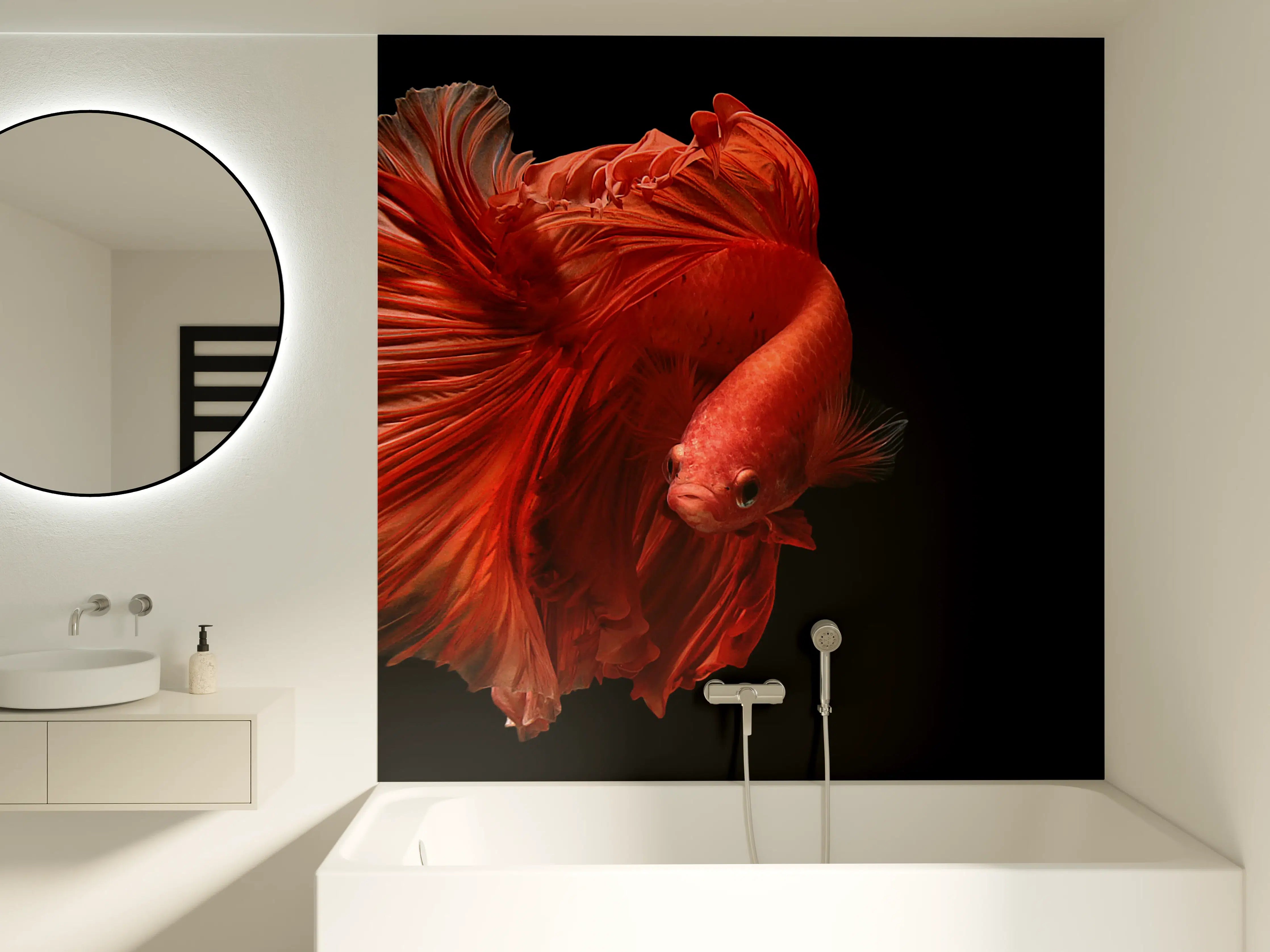 Badewannen-Rückwand - Elegant roter Betta-Fisch vor schwarzem Hintergrund
