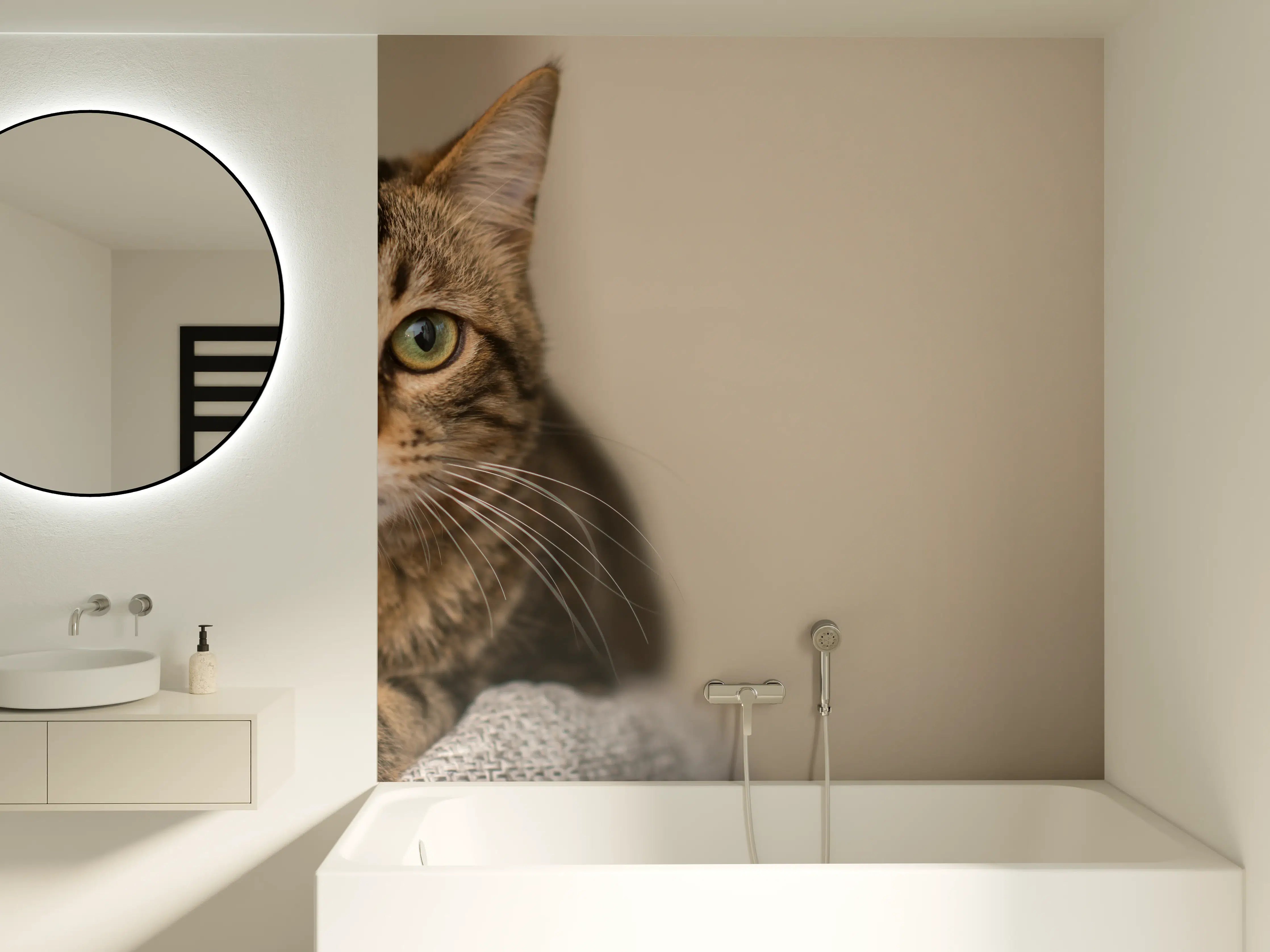 Badewannen-Rückwand - Entspannte Hauskatze in Beige-Braun