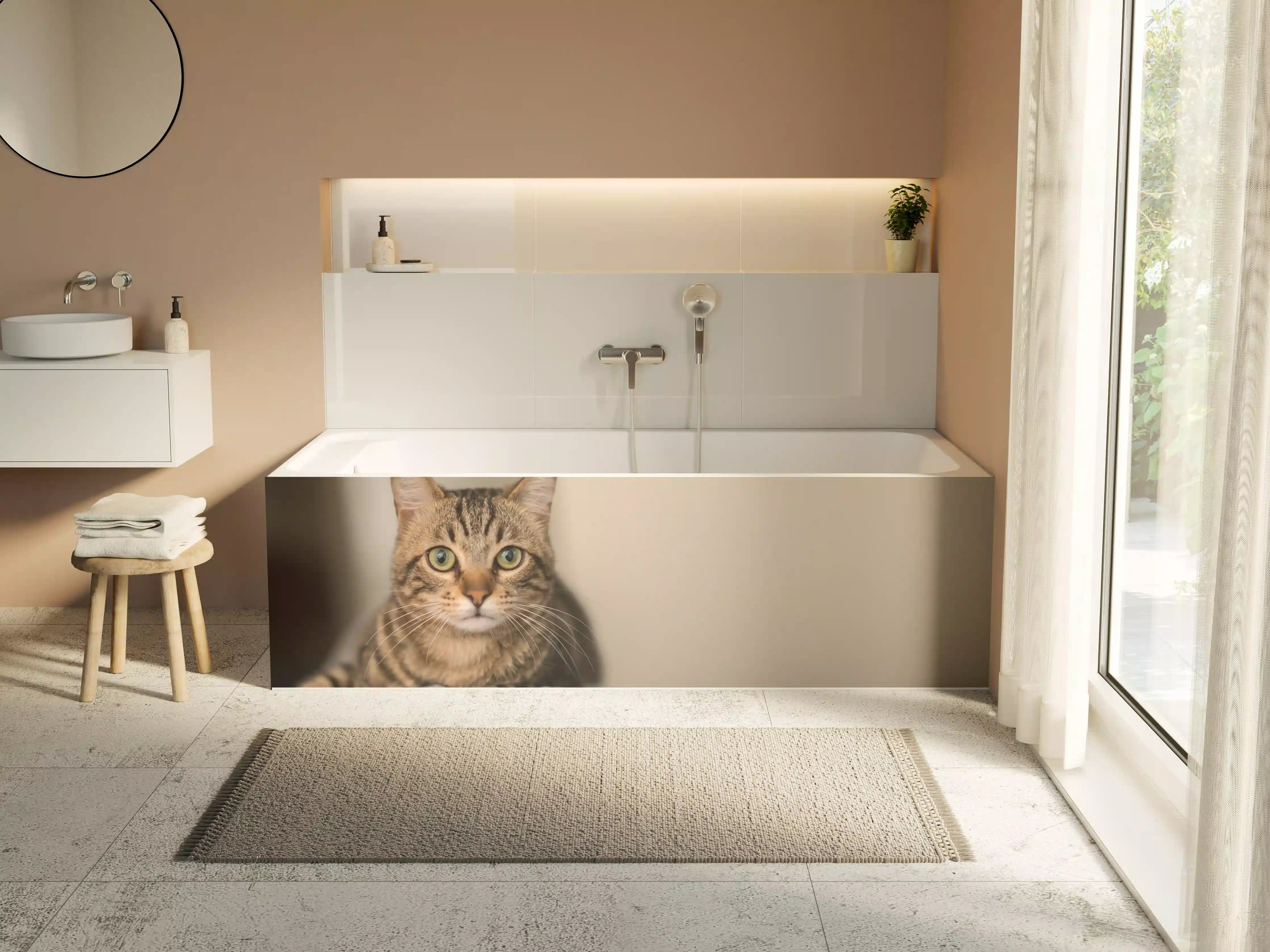 Badewannen-Rückwand - Entspannte Hauskatze in Beige-Braun