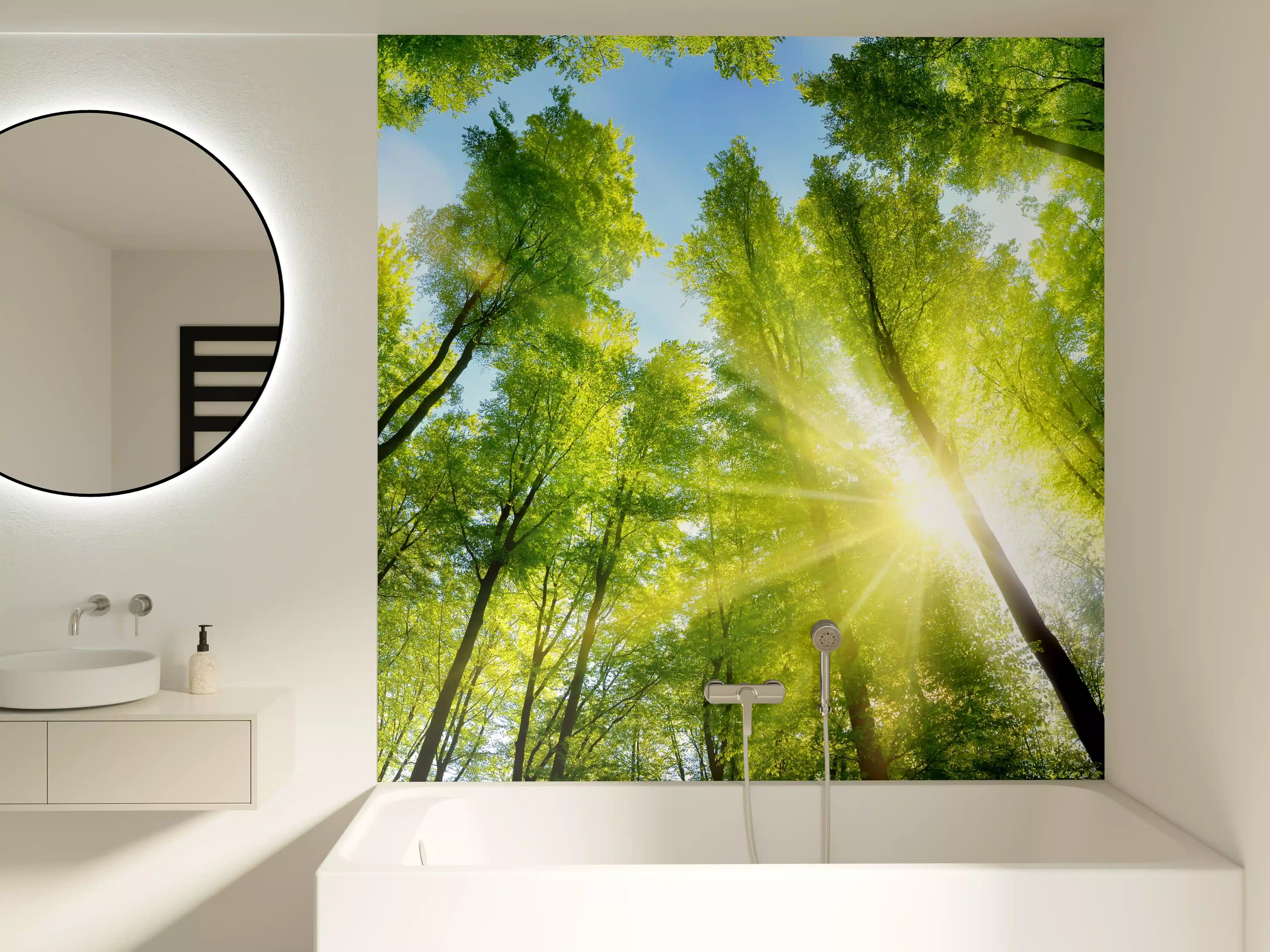 Badewannen-Rückwand - Frühlingswälder mit Sonnenlicht