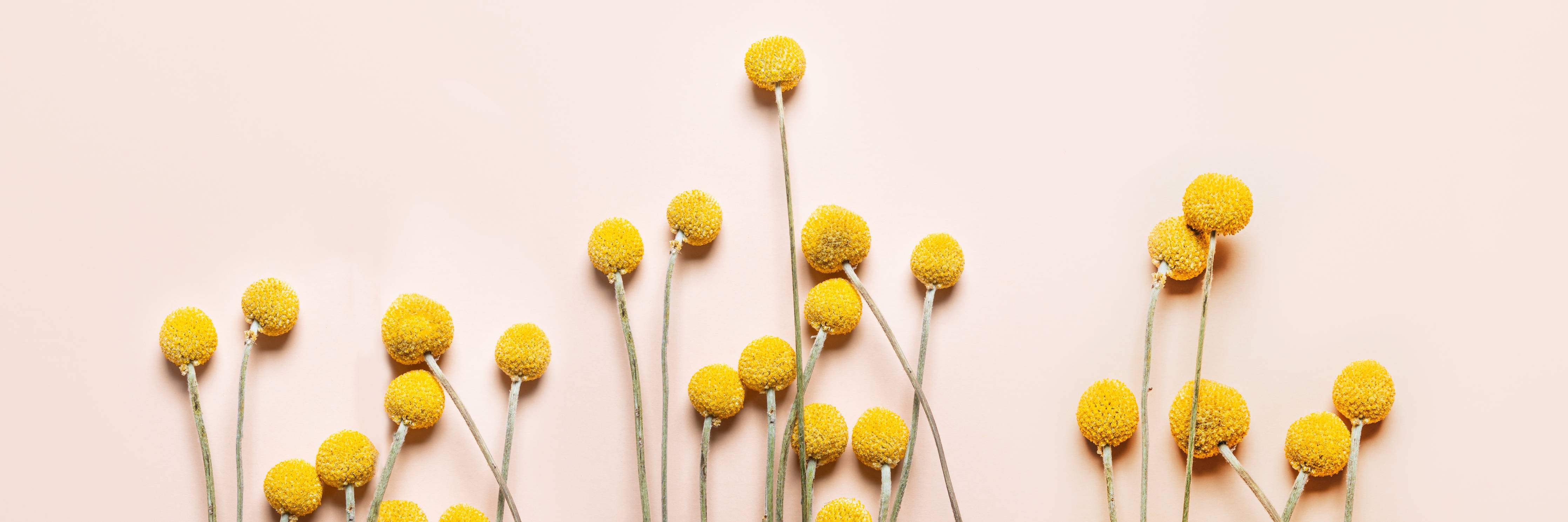 Badewannen-Rückwand-Gelbe Ballons und Blüten auf hellem Hintergrund