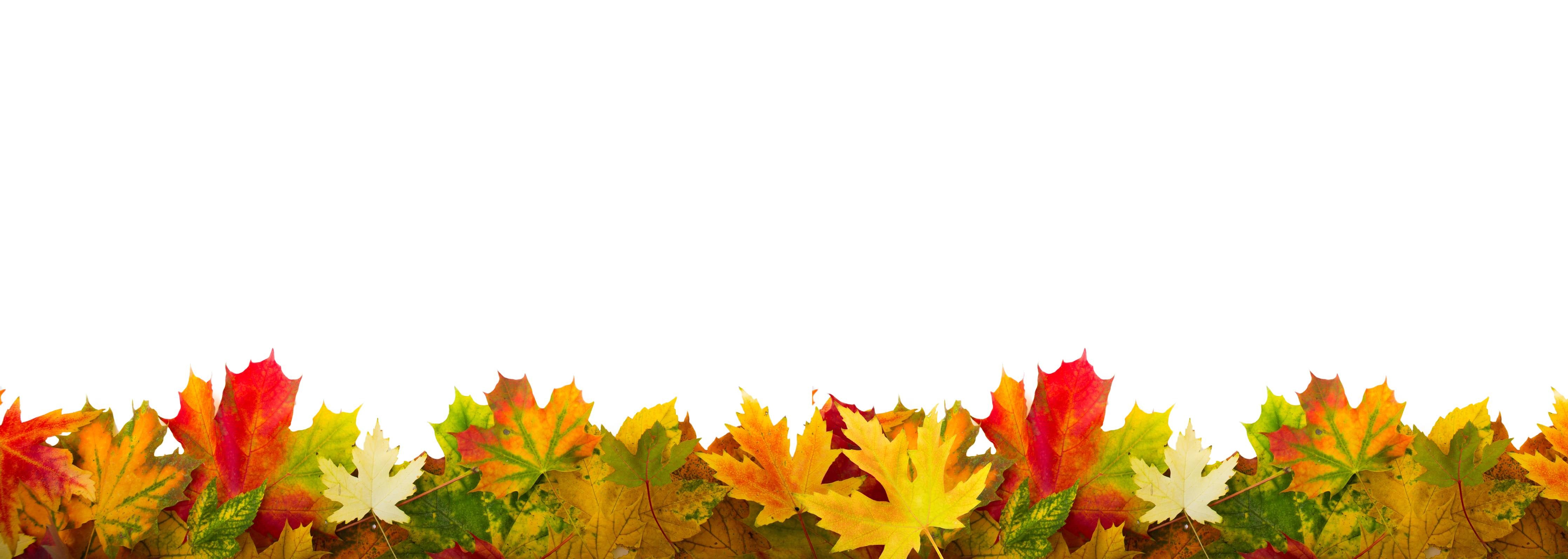 Badewannen-Rückwand-Herbst Laub