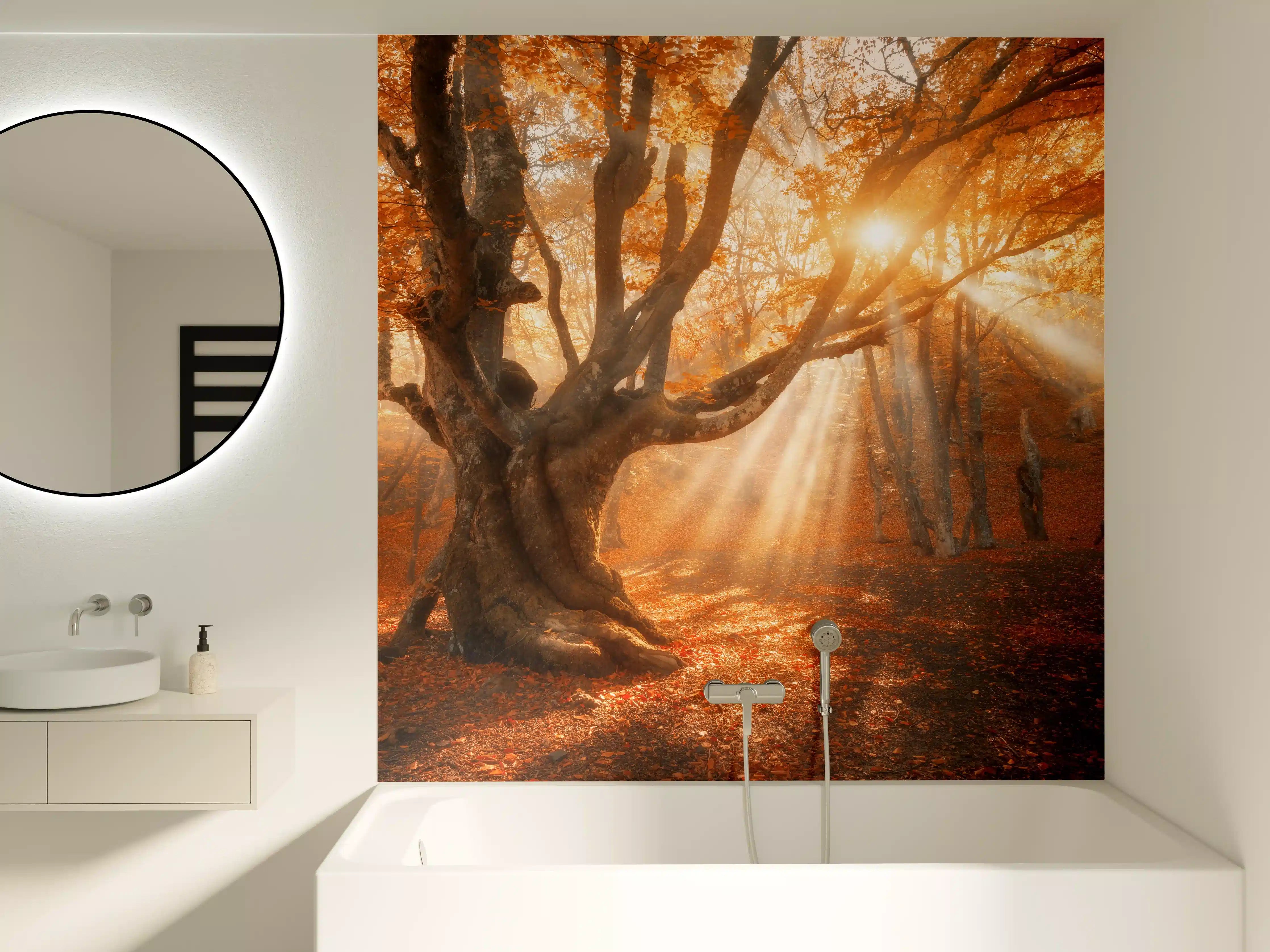 Badewannen-Rückwand - Herbstlicht im Wald