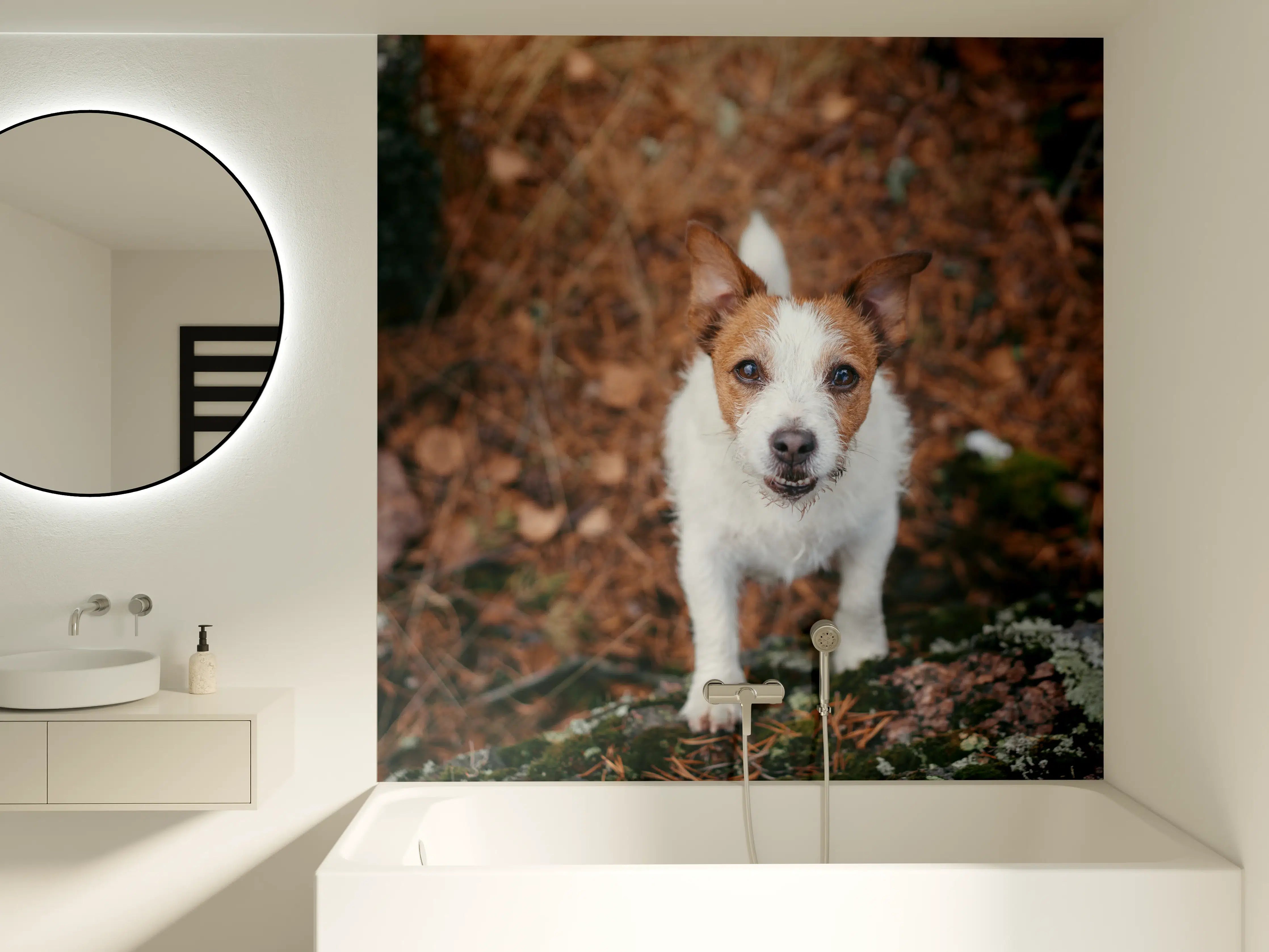 Badewannen-Rückwand - Jack Russell im herbstlichen Park
