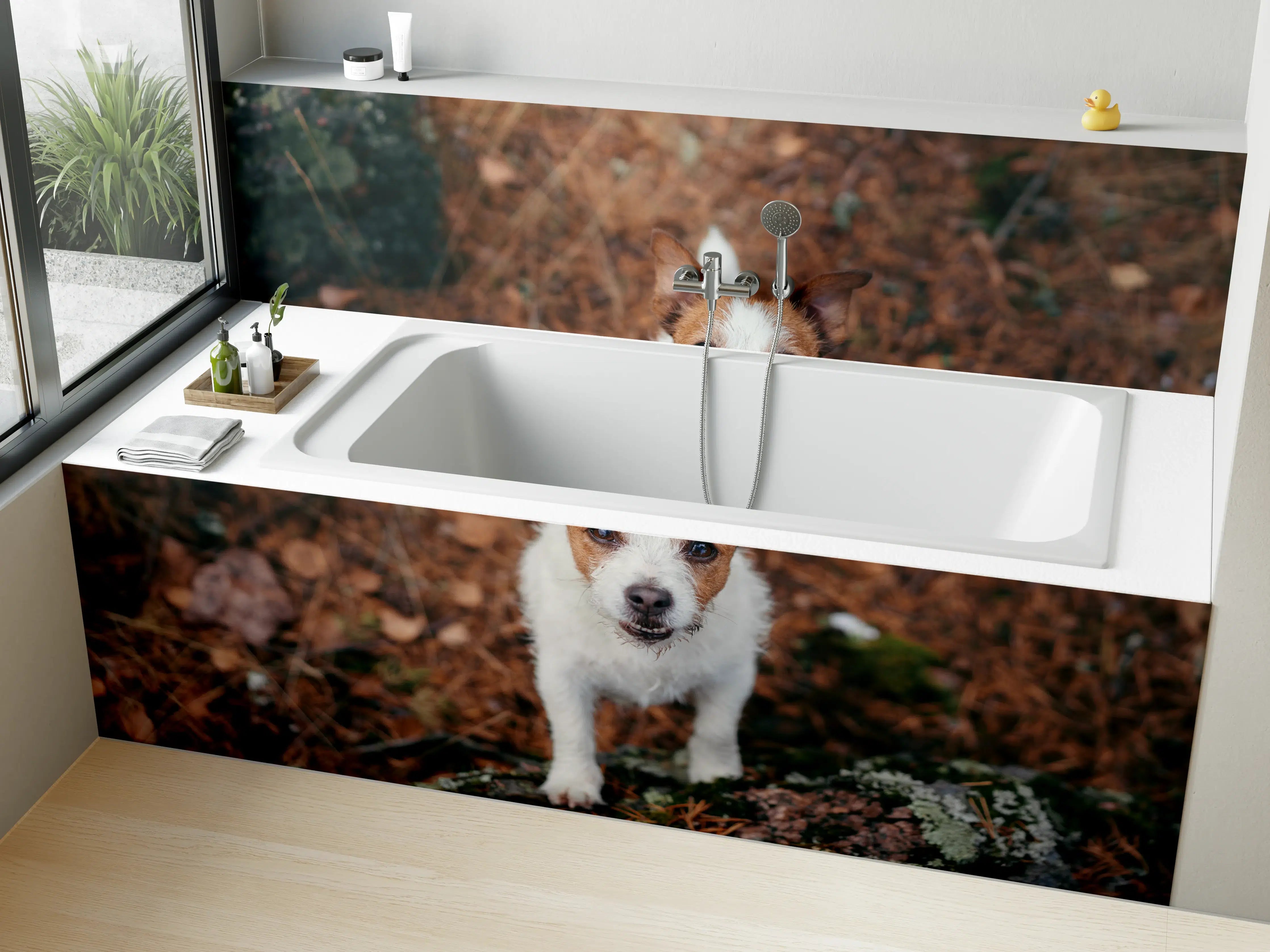 Badewannen-Rückwand - Jack Russell im herbstlichen Park