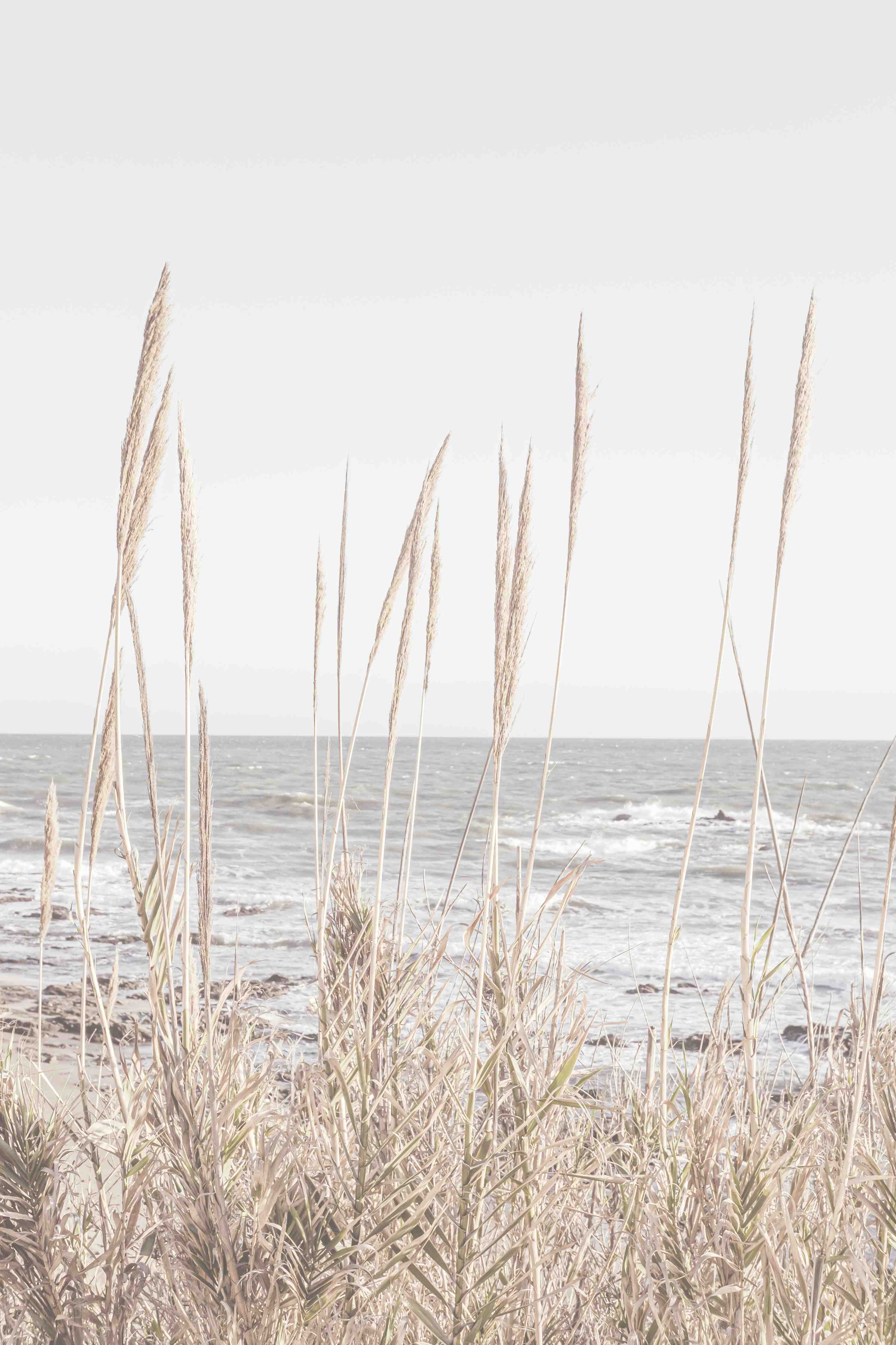 Badewannen-Rückwand-Küstenbild - Am Meer