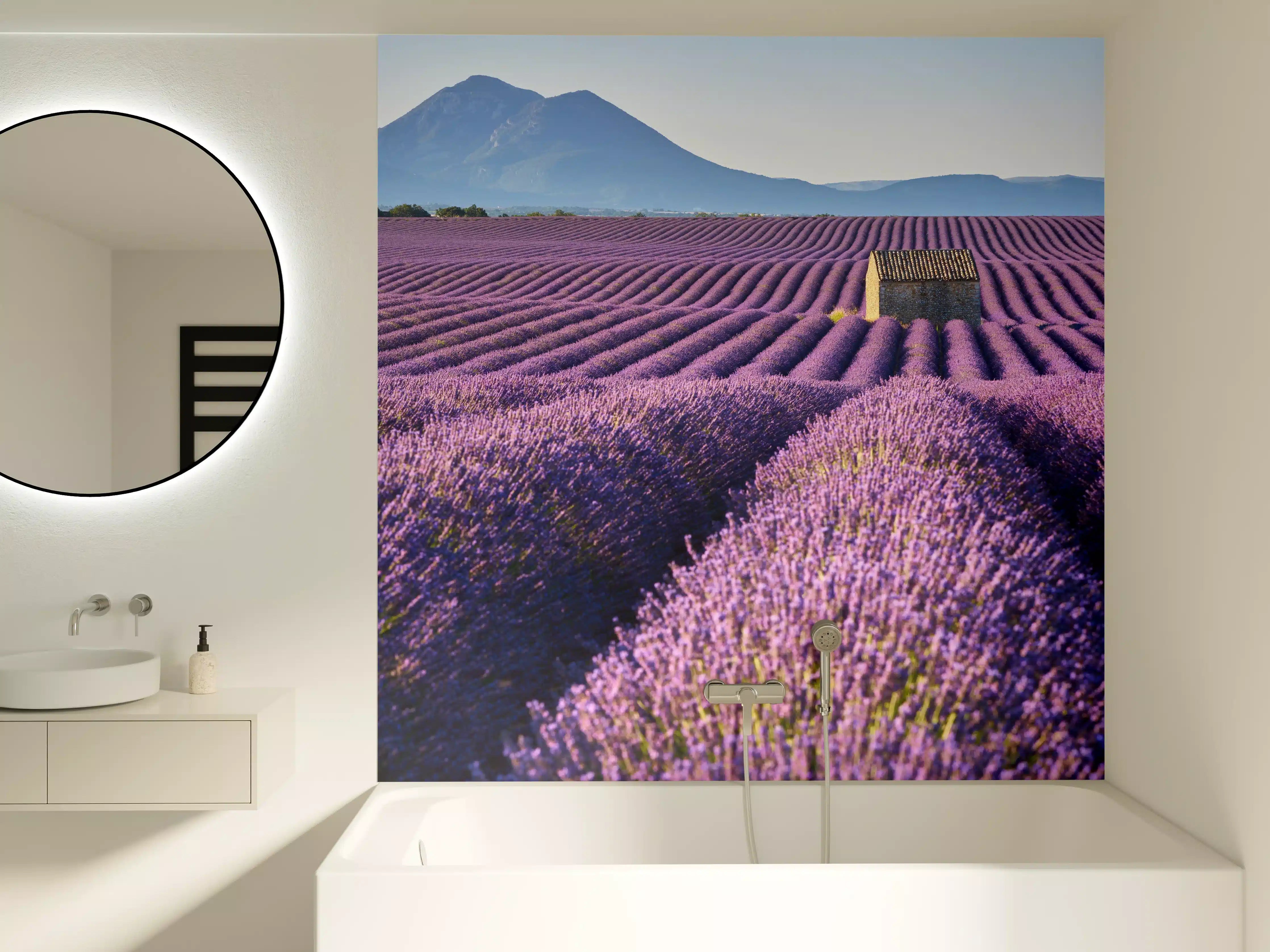 Badewannen-Rückwand - Lavendelfelder auf dem Plateau de Valensole 