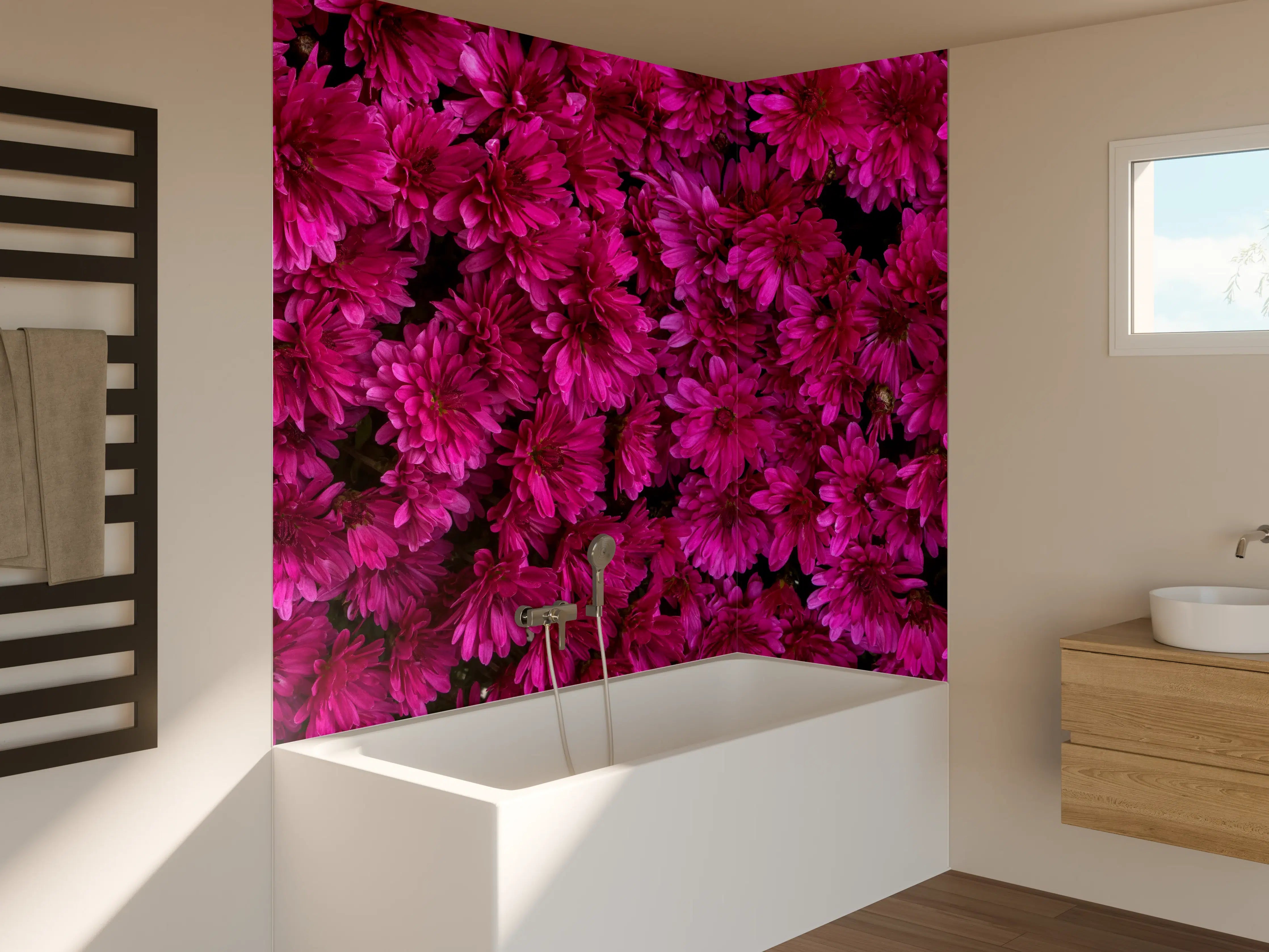 Badewannen-Rückwand - Magenta Blüten von Chrysanthemen