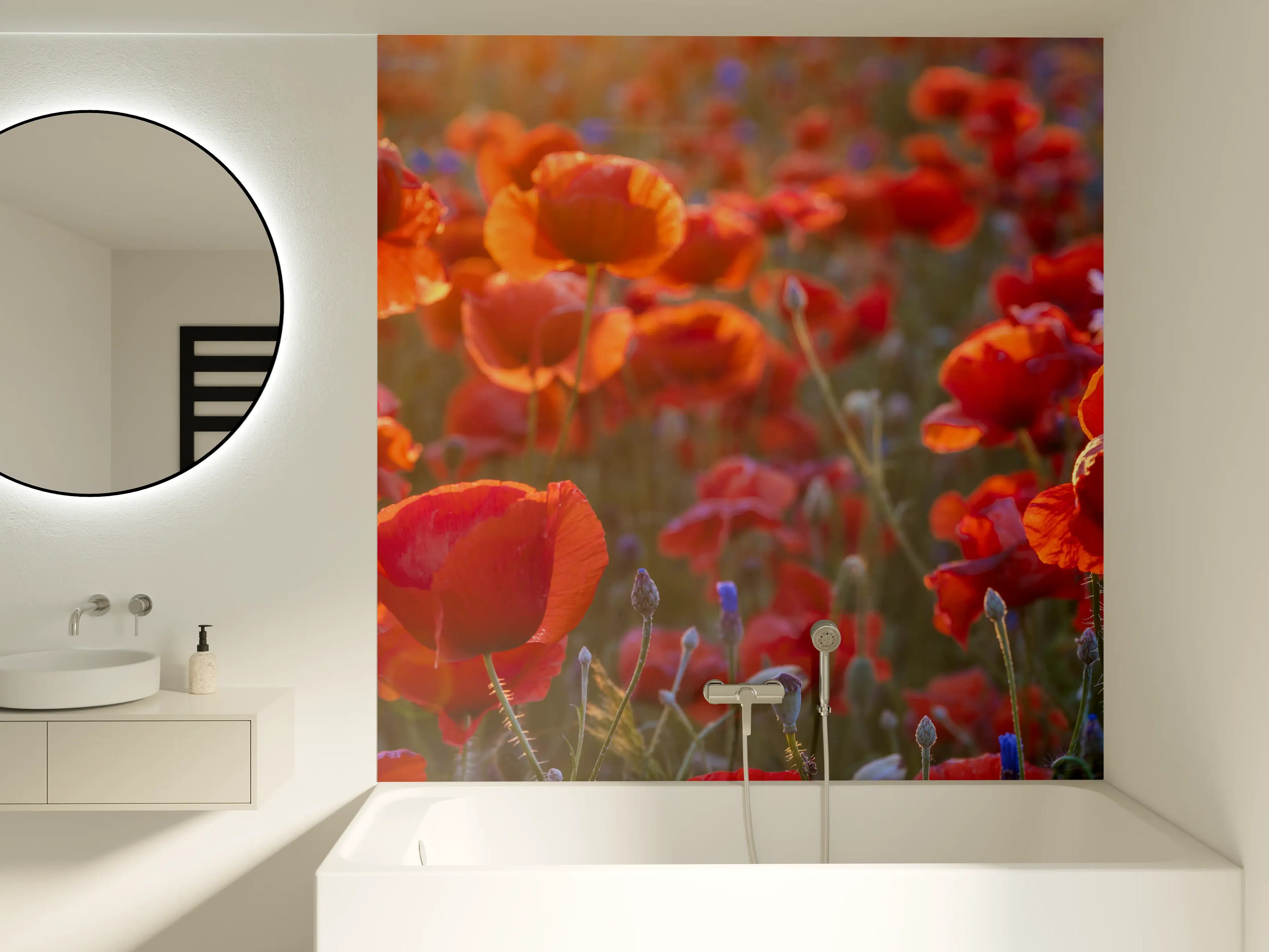 Badewannen-Rückwand - Mohnwiese im Licht der untergehenden Sonne