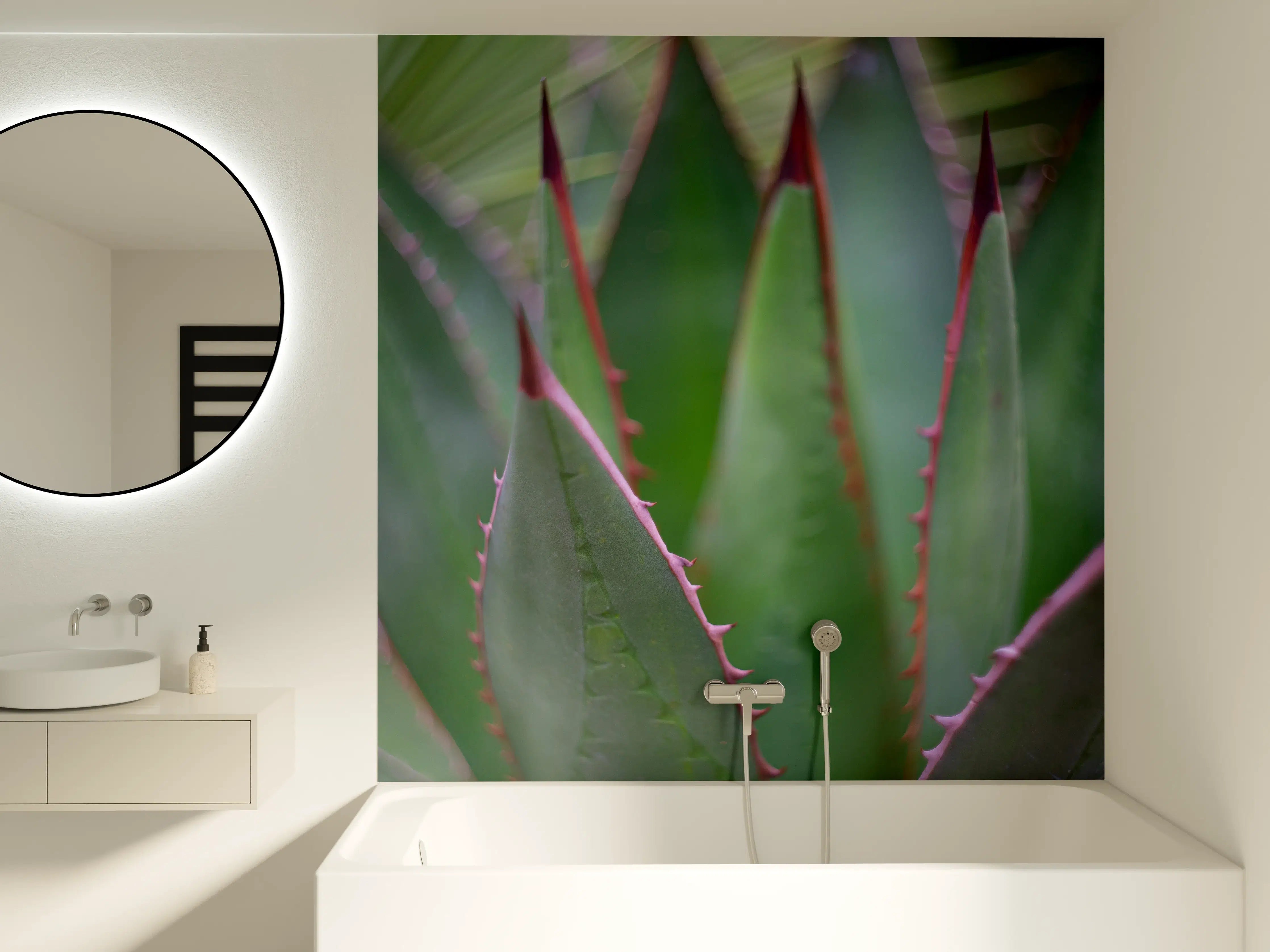 Badewannen-Rückwand - Nahaufnahme - Agave ghiesbreghti
