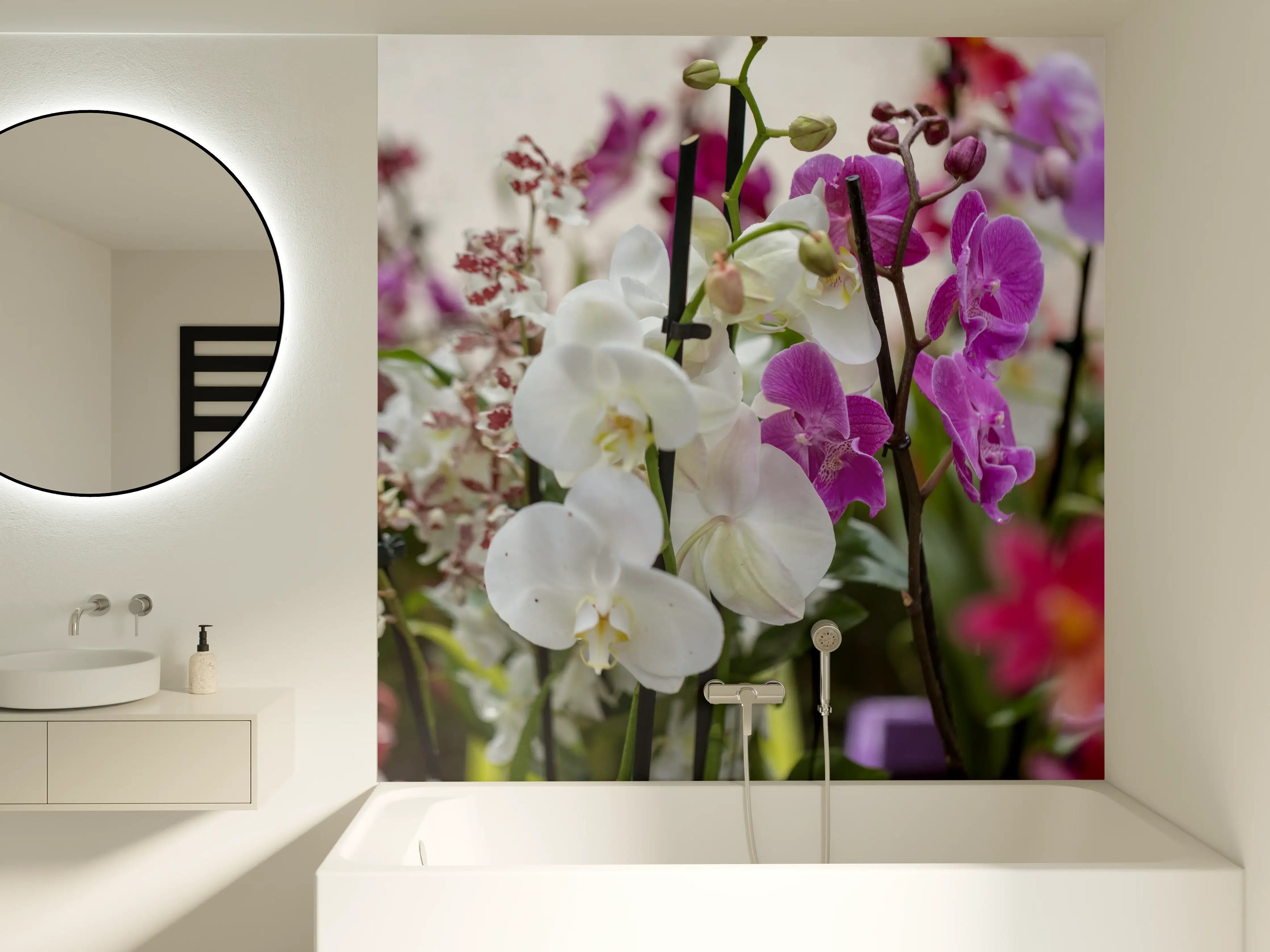 Badewannen-Rückwand - Nahaufnahme von bunten Orchideen