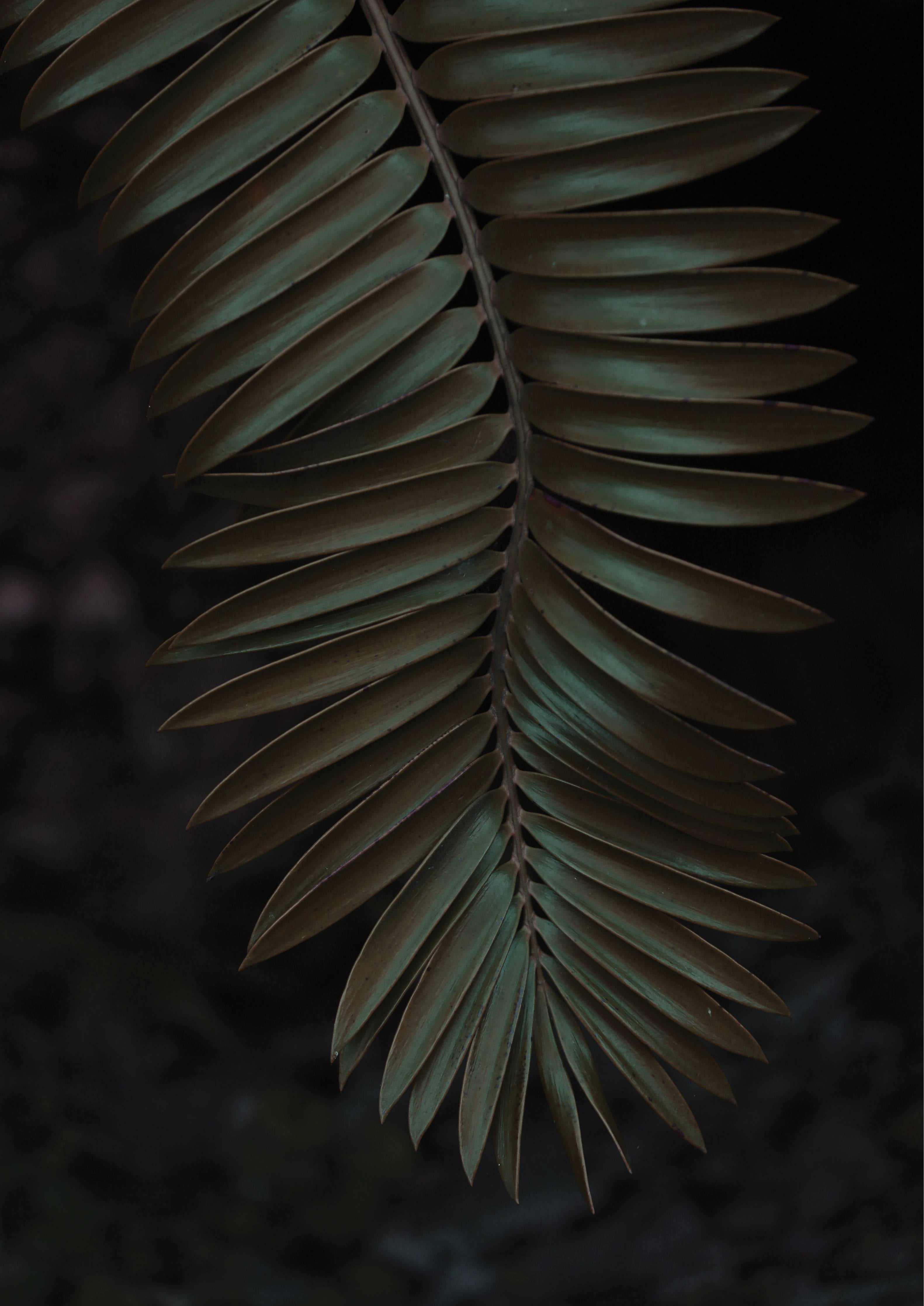 Badewannen-Rückwand-Palmenblätter