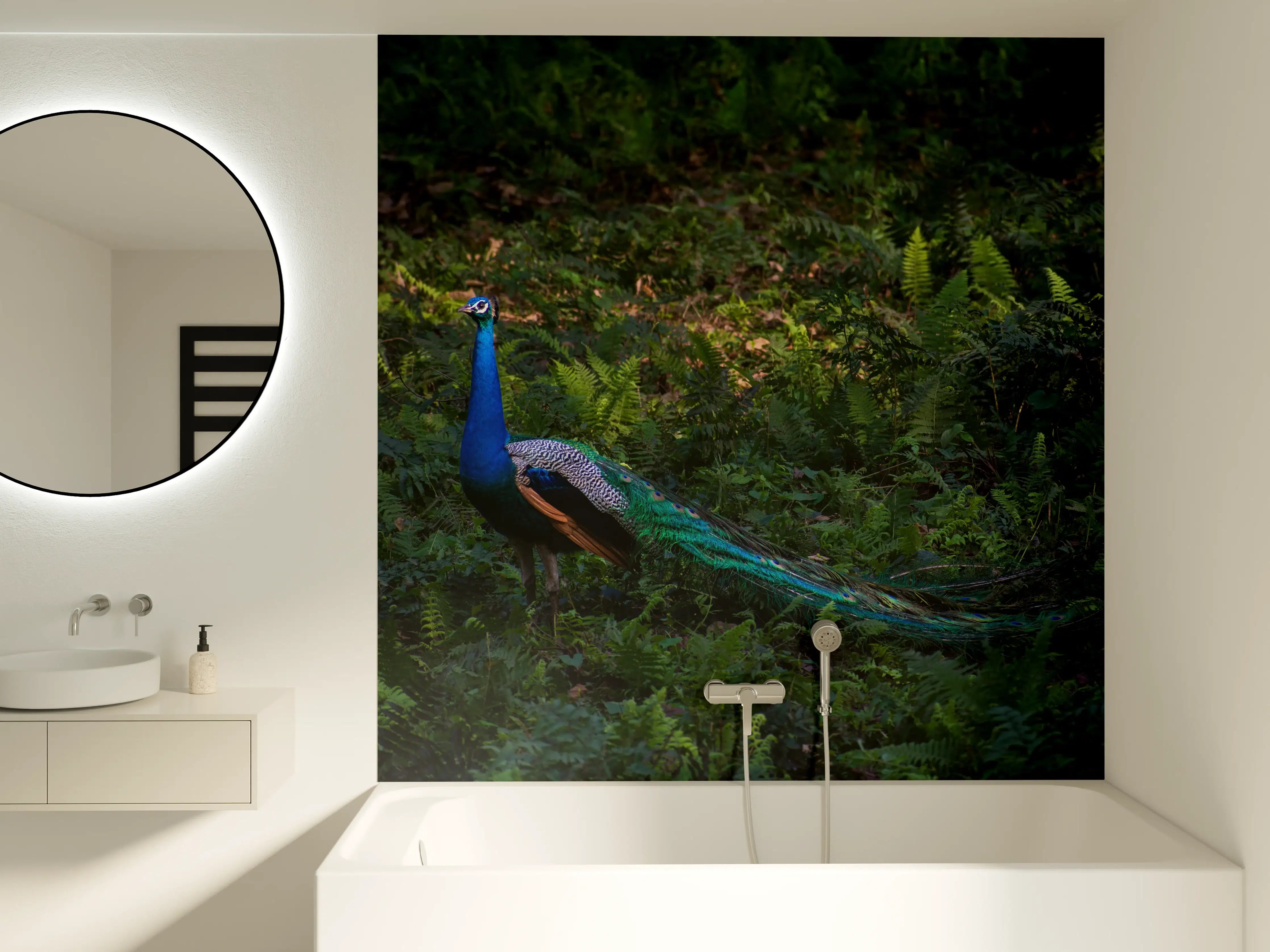 Badewannen-Rückwand - Pfau in freier Natur