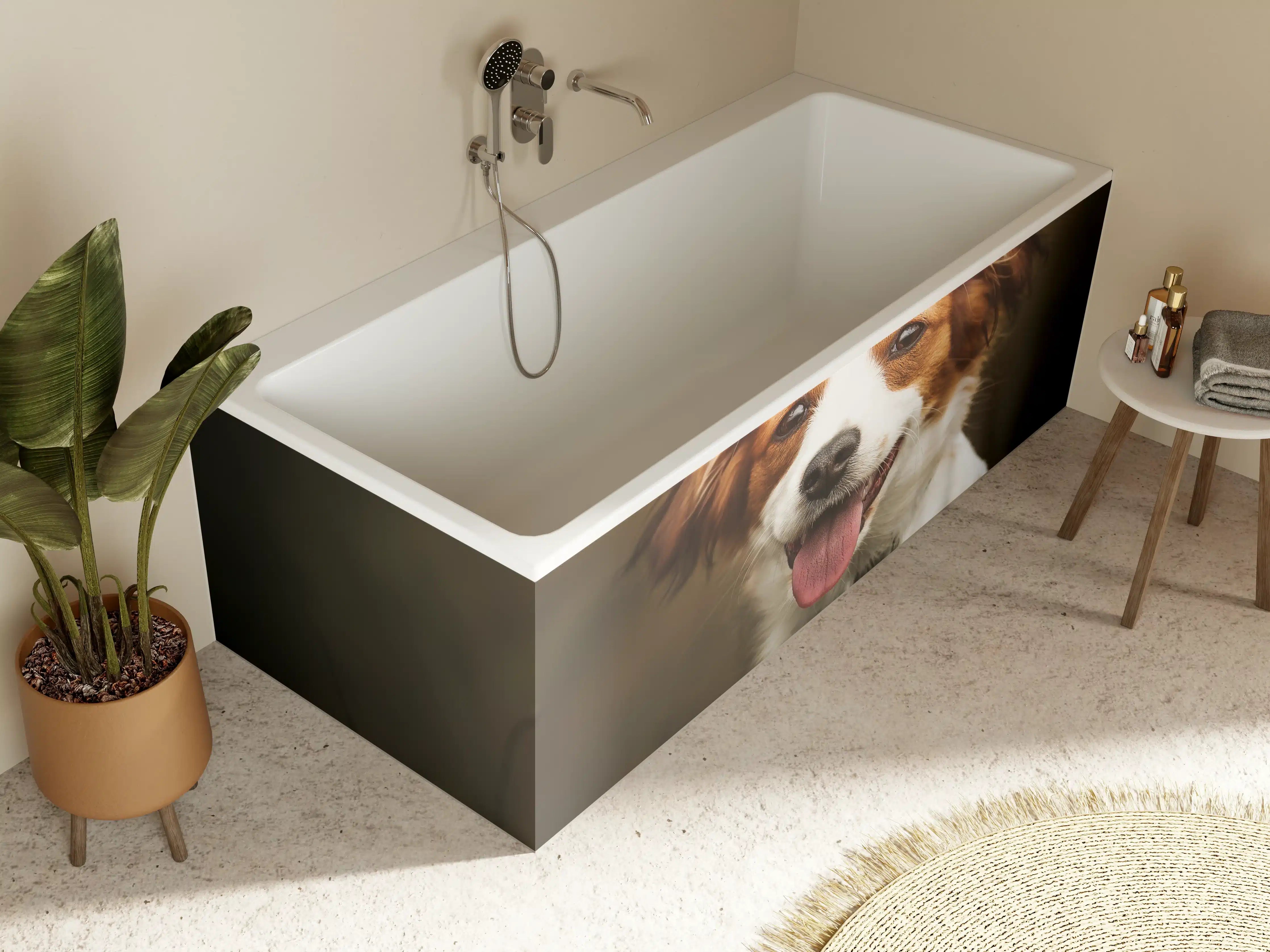 Badewannen-Rückwand - Porträt eines niedlichen Kooiker-Hundes